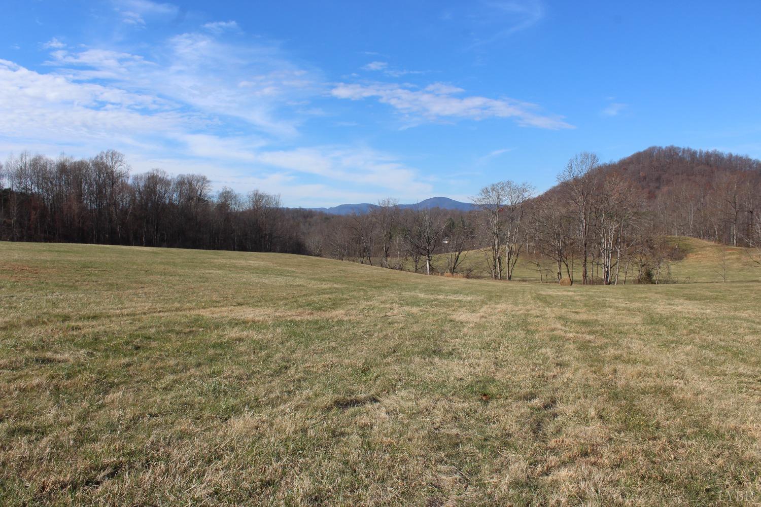 -0 Wagon Trail Road Monroe, VA 24574 - Photo 7 of 19 Gallery Image 7