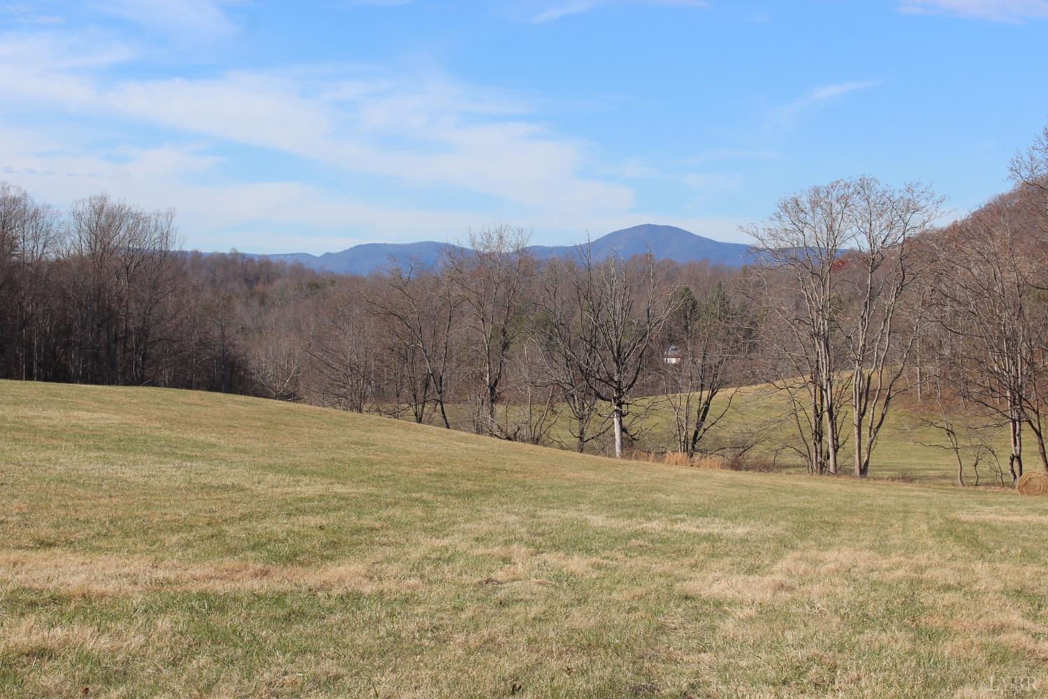 -0 Wagon Trail Road Monroe, VA 24574 - Photo 8 of 19 Gallery Image 8