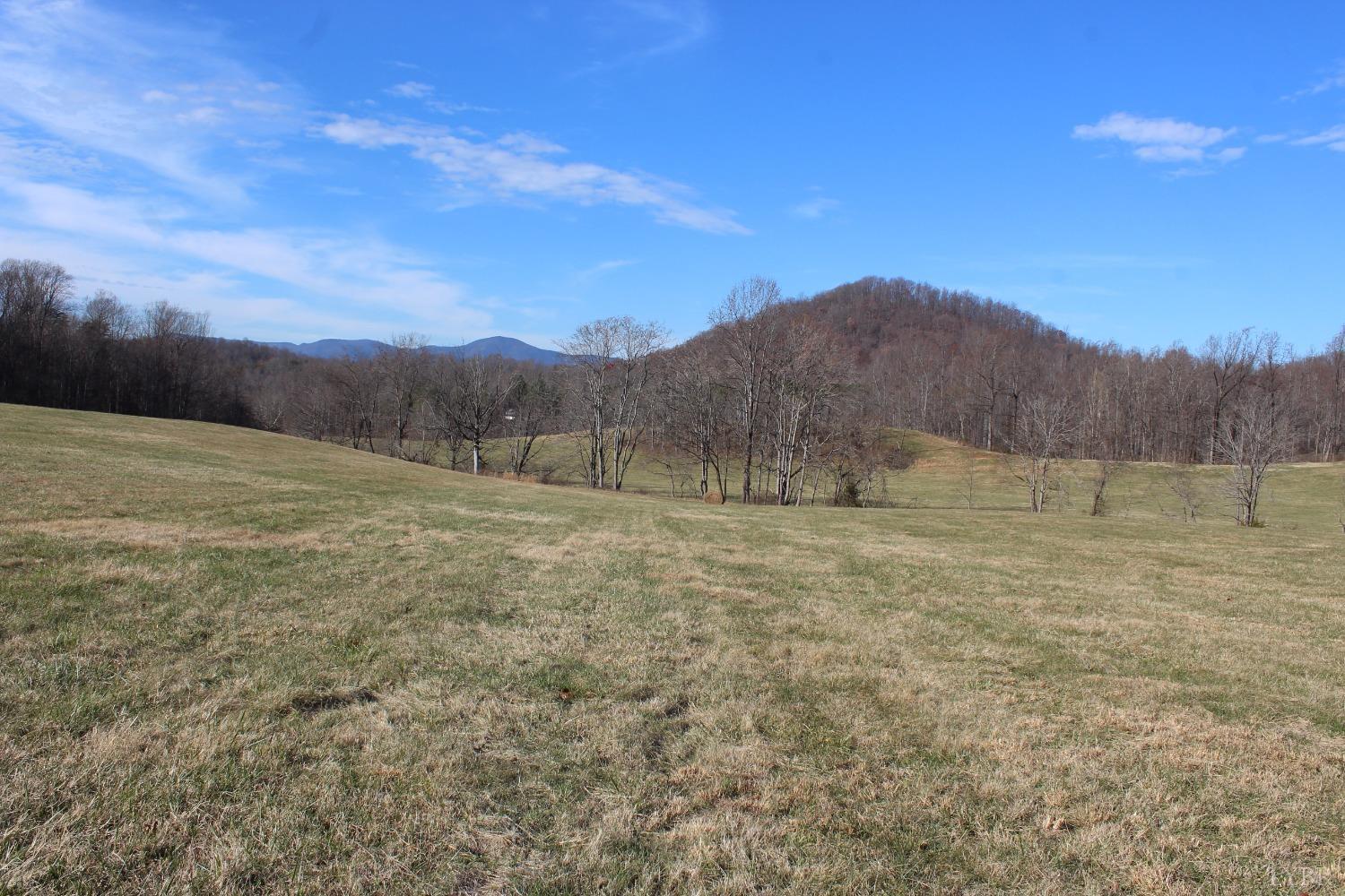 -0 Wagon Trail Road Monroe, VA 24574 - Photo 9 of 19 Gallery Image 9