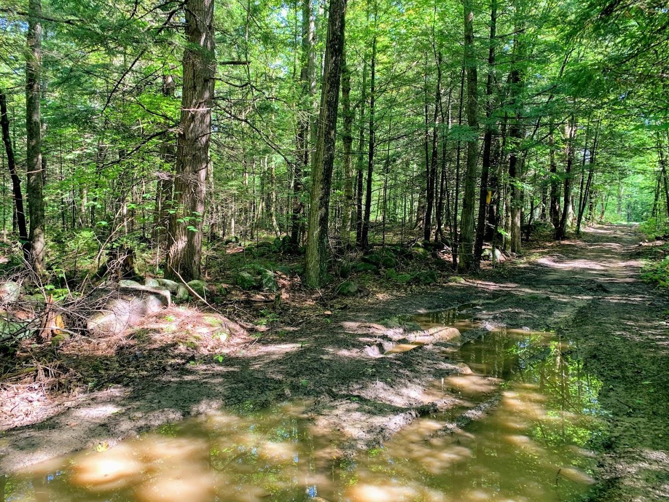M13-l31 Kingsbury Hill Road Washington, NH 03280 - Photo 12 of 14