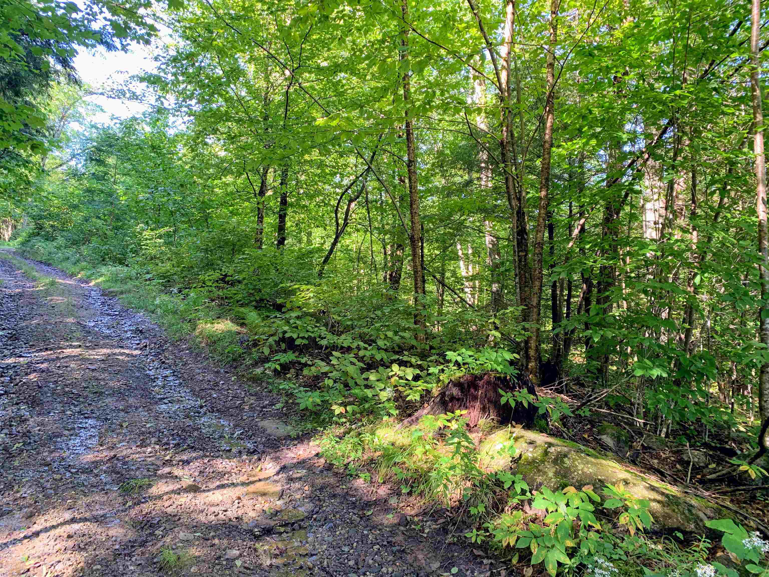 M13-l31 Kingsbury Hill Road Washington, NH 03280 - Photo 3 of 14