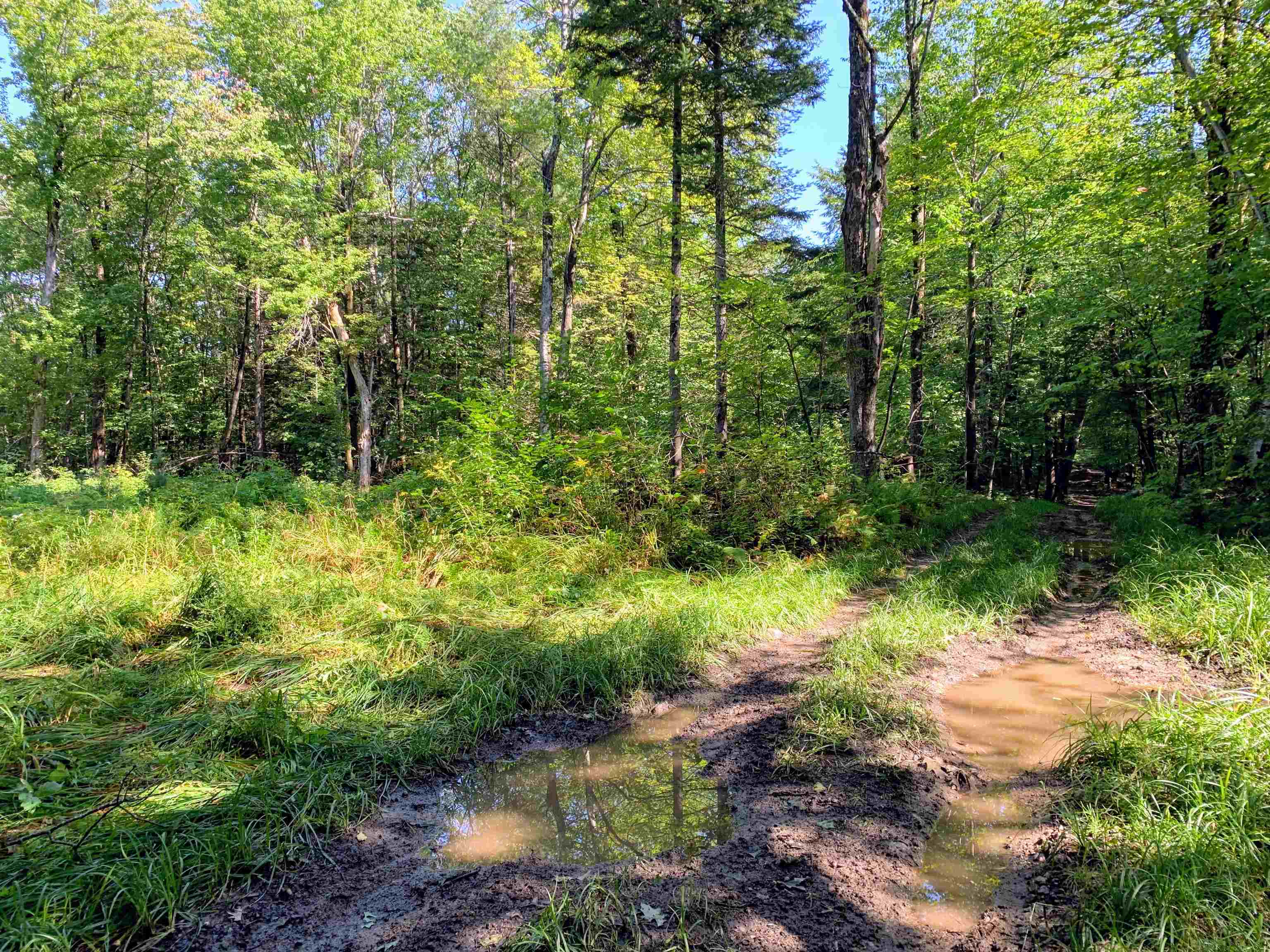 M13-l31 Kingsbury Hill Road Washington, NH 03280 - Photo 10 of 14