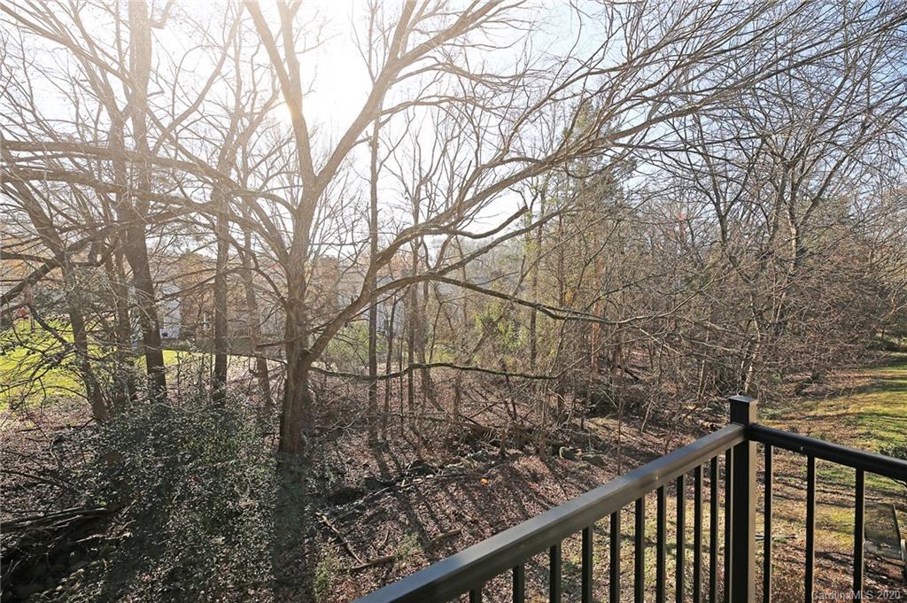 11037 Cedar View Road, Unit 8317 Charlotte, NC 28226 - Photo 3 of 19 Gallery Image 3