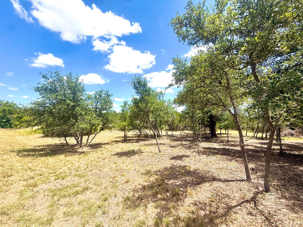 119 Broken Spur Road Mountain Home, TX 78058 - Photo 9 of 14