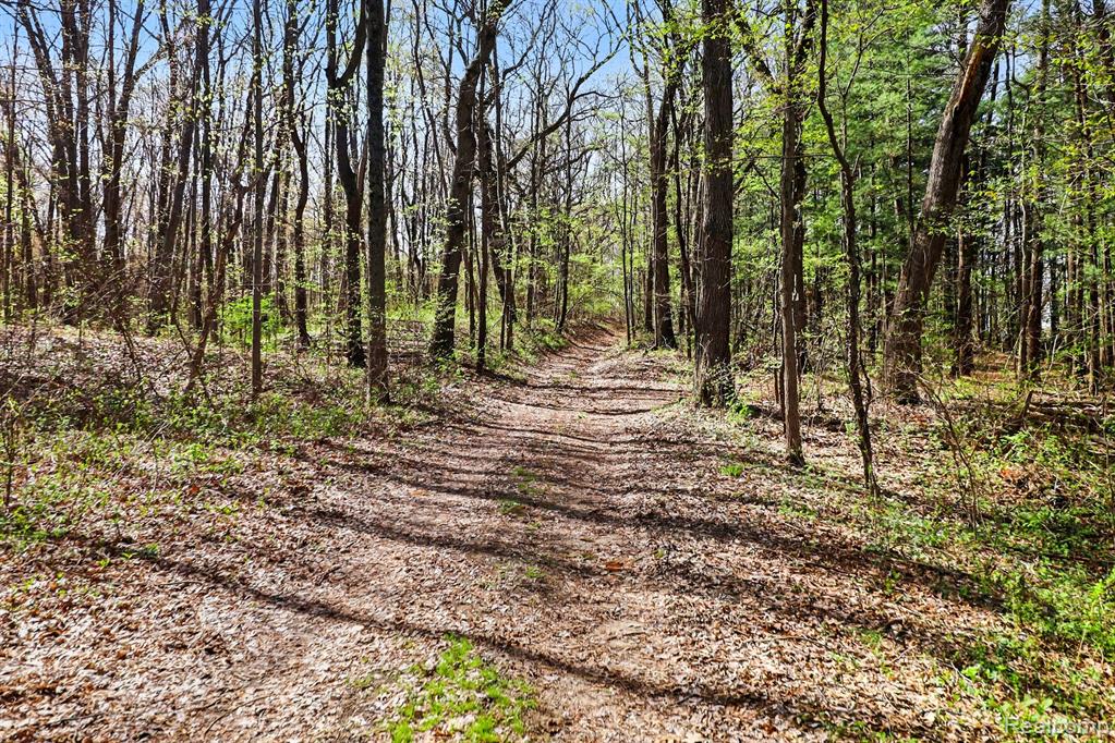 8815 Milford Road Holly, MI 48442 - Photo 27 of 52
