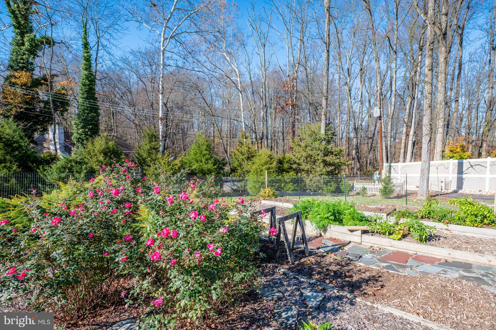 111 Midway Road Phoenixville, PA 19460 - Photo 63 of 77 Gardens of Roses in back