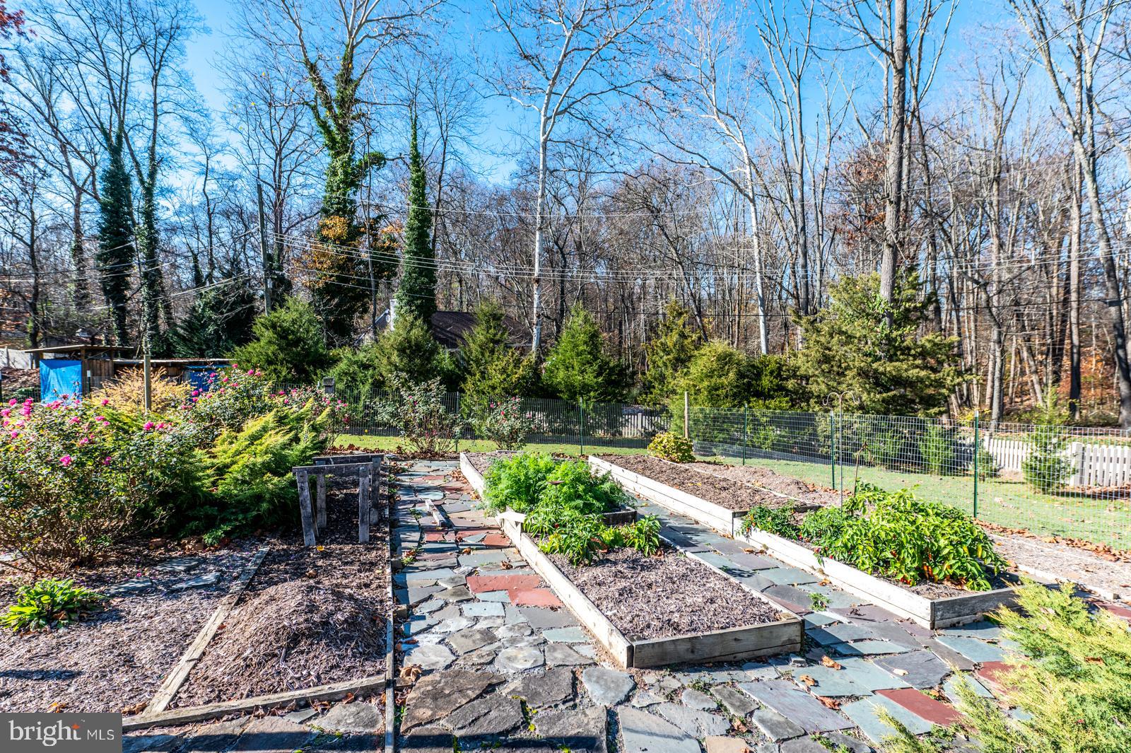 111 Midway Road Phoenixville, PA 19460 - Photo 64 of 77 Back gardens