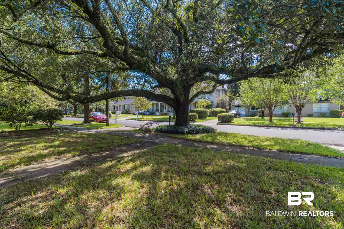 1908 Old Government Street Mobile, AL 36606 - Photo 30 of 32 Gorgeous Oak Tree