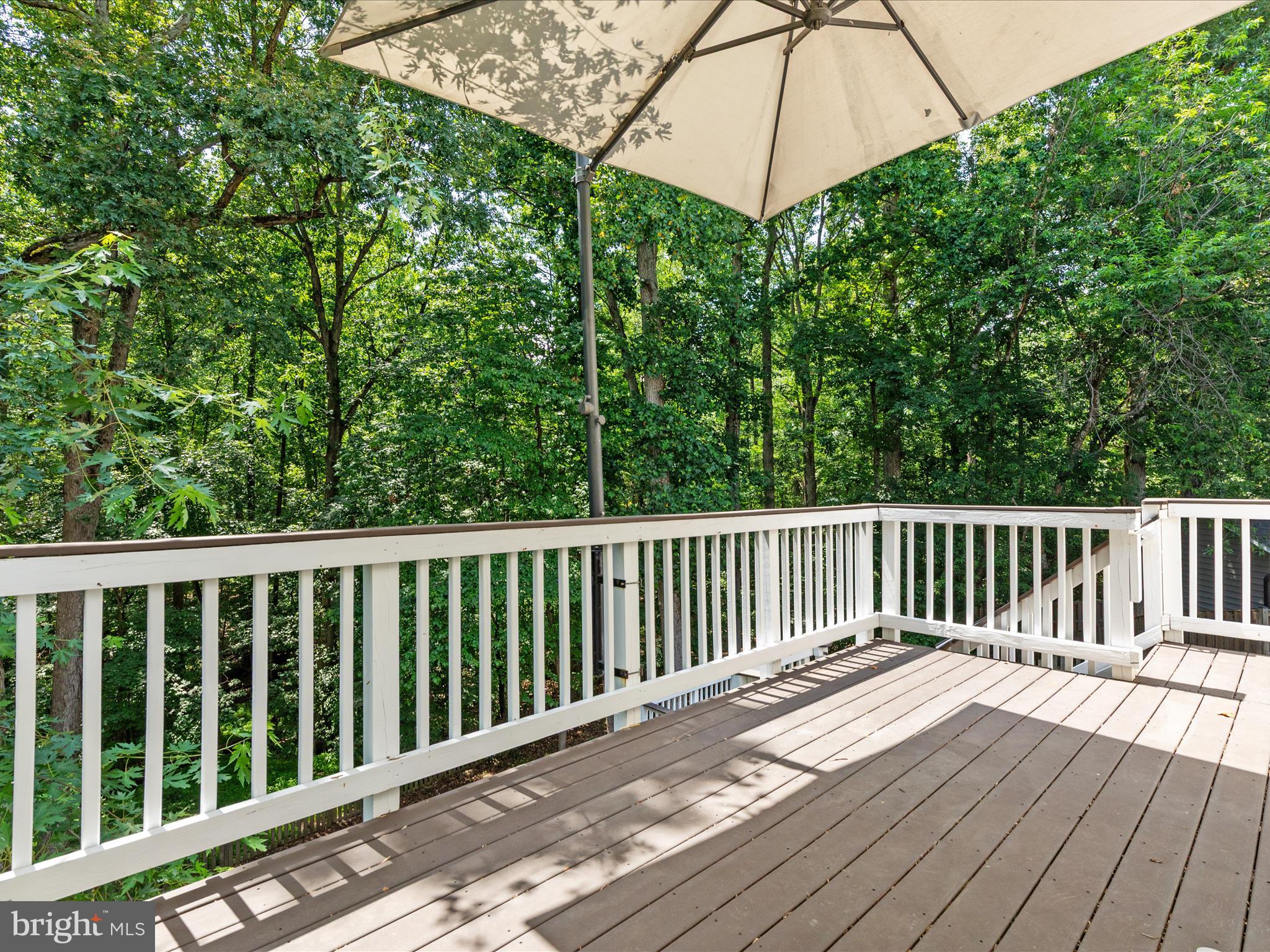 8490 Magic Tree Court Springfield, VA 22153 - Photo 36 of 47 Lot backs to trees