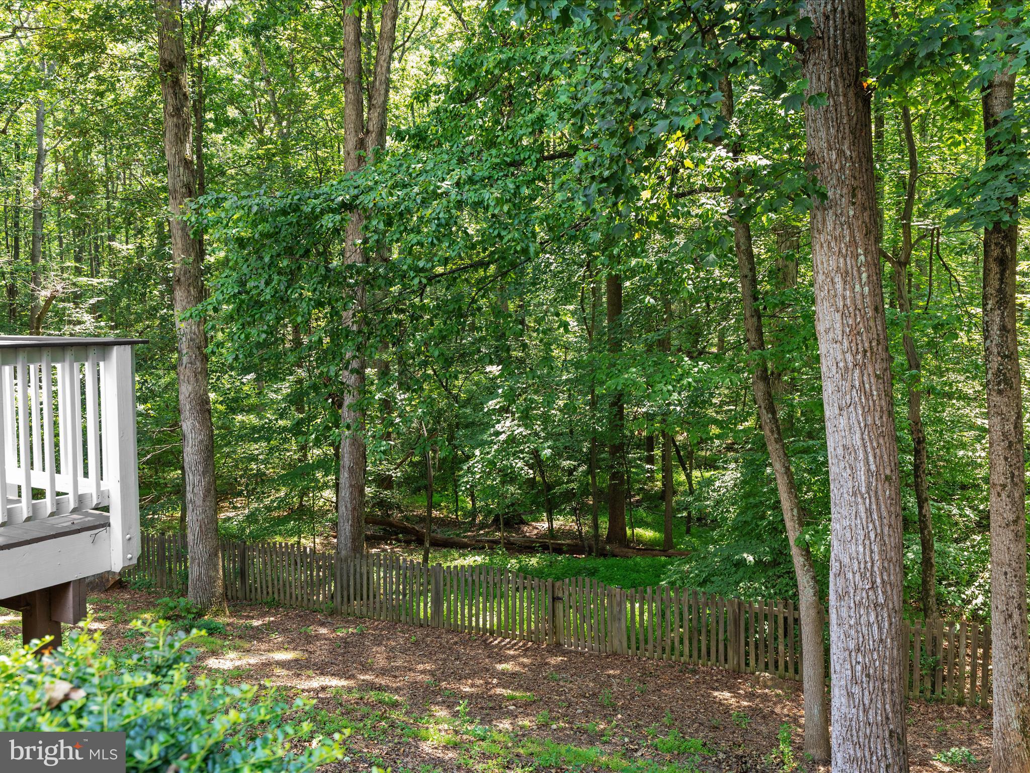 8490 Magic Tree Court Springfield, VA 22153 - Photo 38 of 47 Gallery Image 38