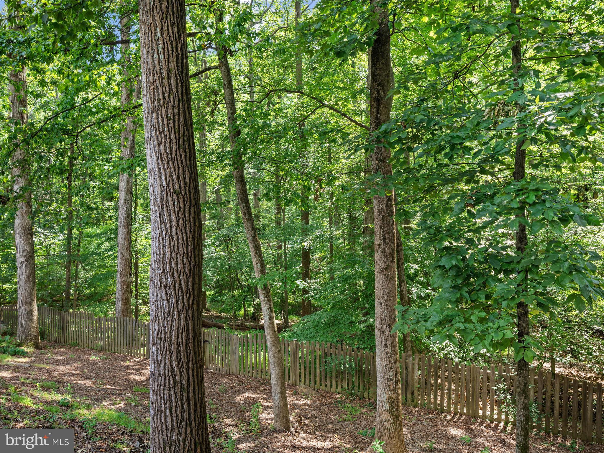 8490 Magic Tree Court Springfield, VA 22153 - Photo 44 of 47 Gallery Image 44