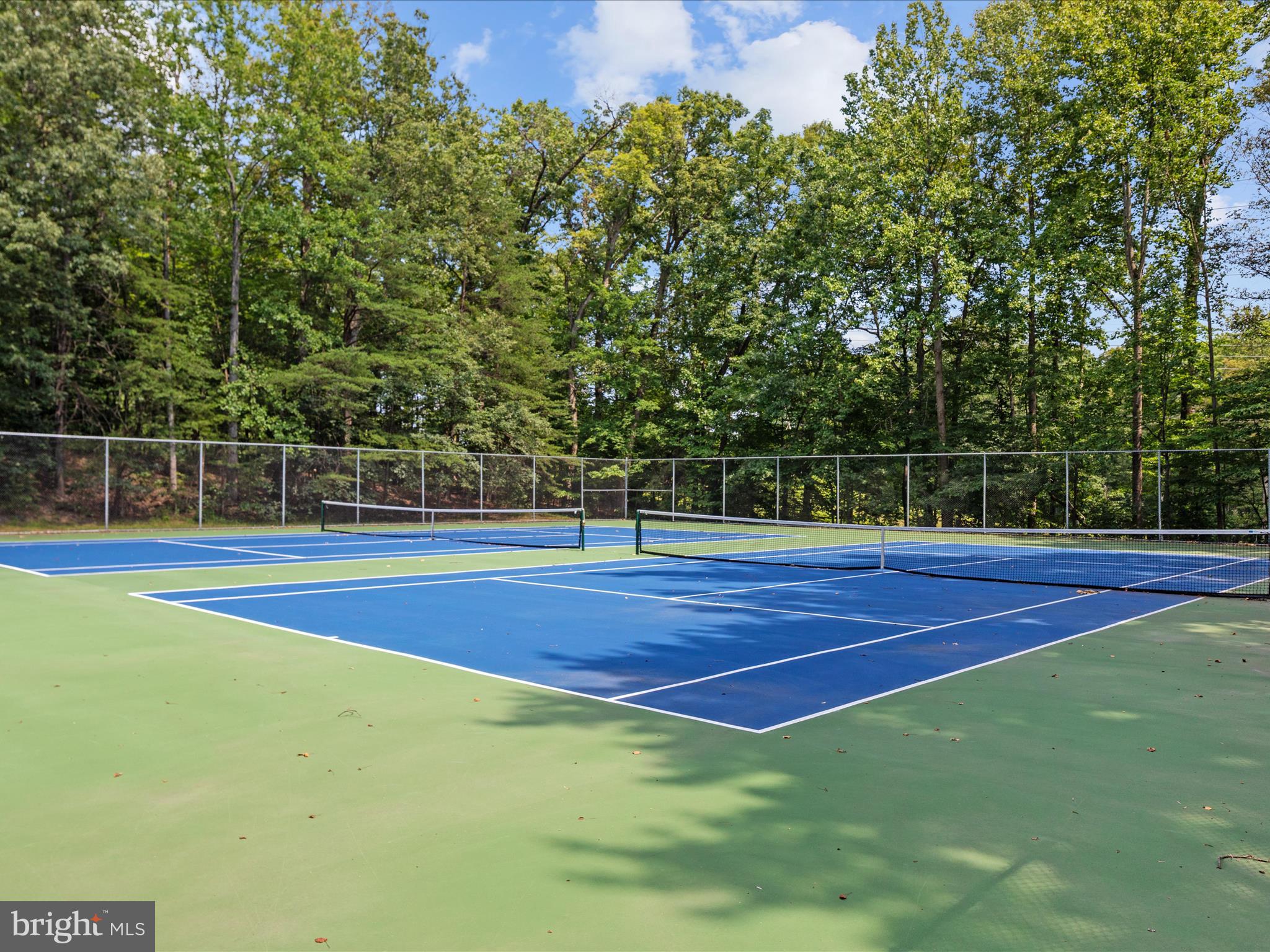 8490 Magic Tree Court Springfield, VA 22153 - Photo 46 of 47 Gallery Image 46