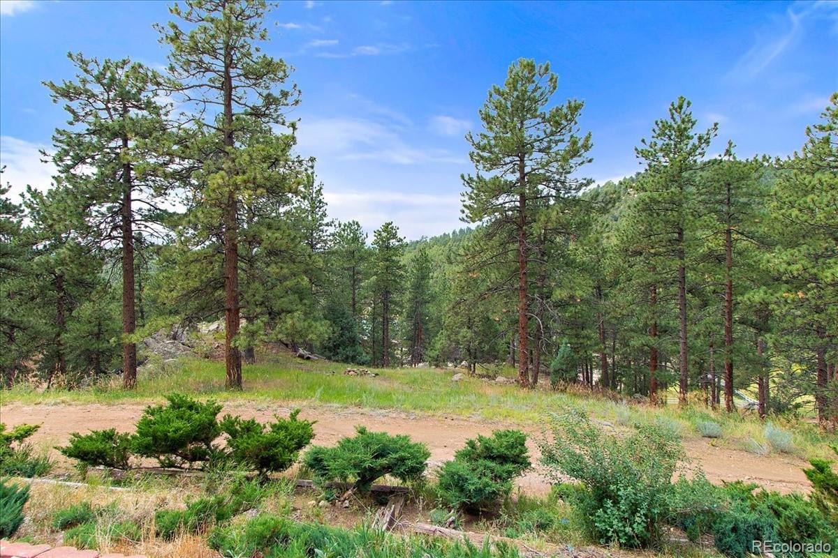 1782 Swede Gulch Road Evergreen, CO 80439 - Photo 19 of 39 Gallery Image 19