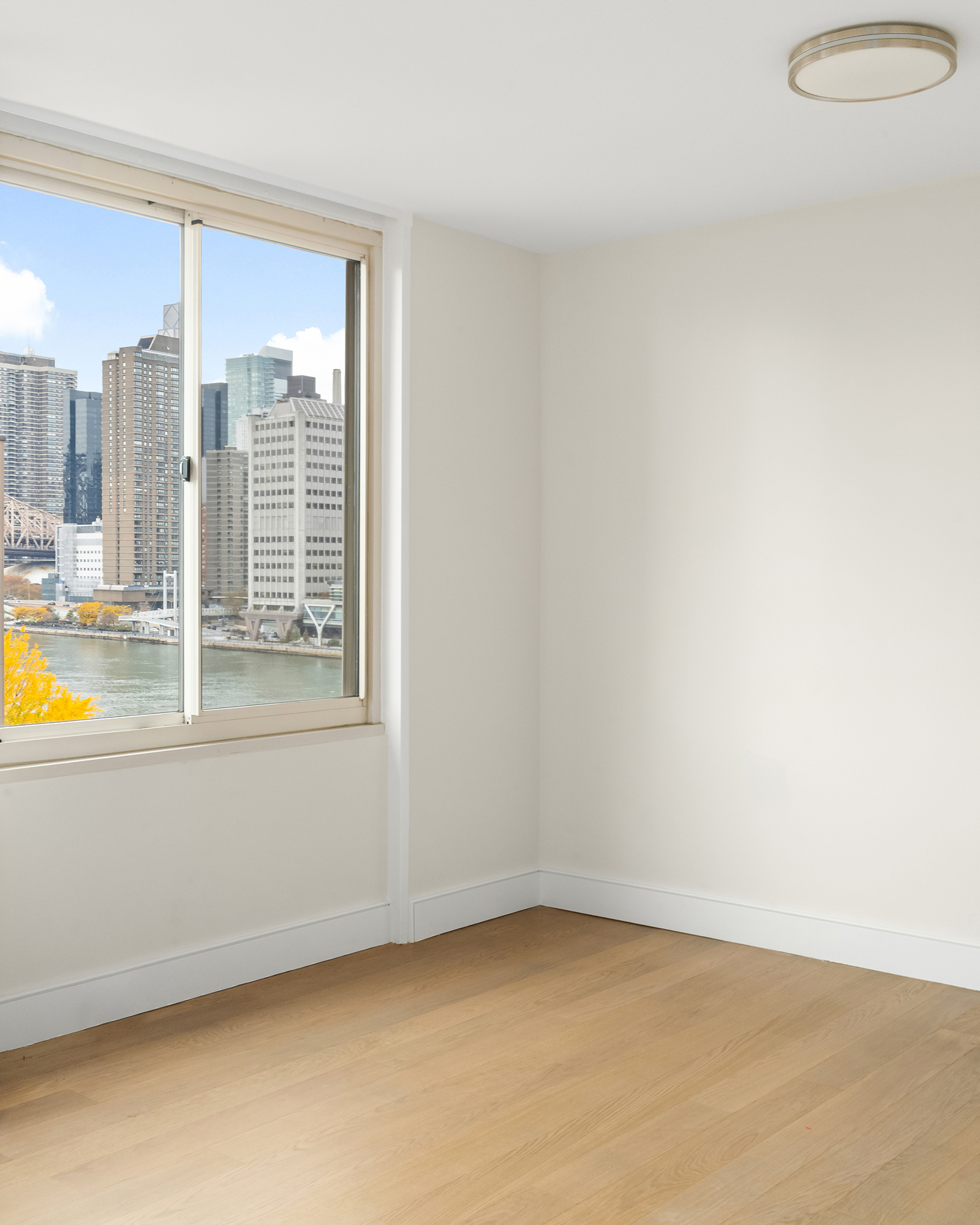 555 Main Street, Unit 806 Manhattan, NY 10044 - Photo 4 of 17