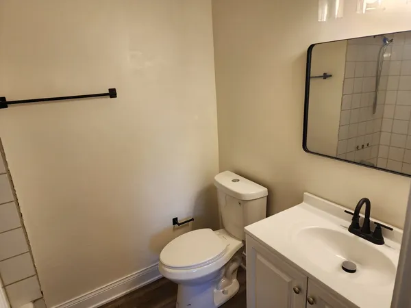 a bathroom with a sink toilet and vanity