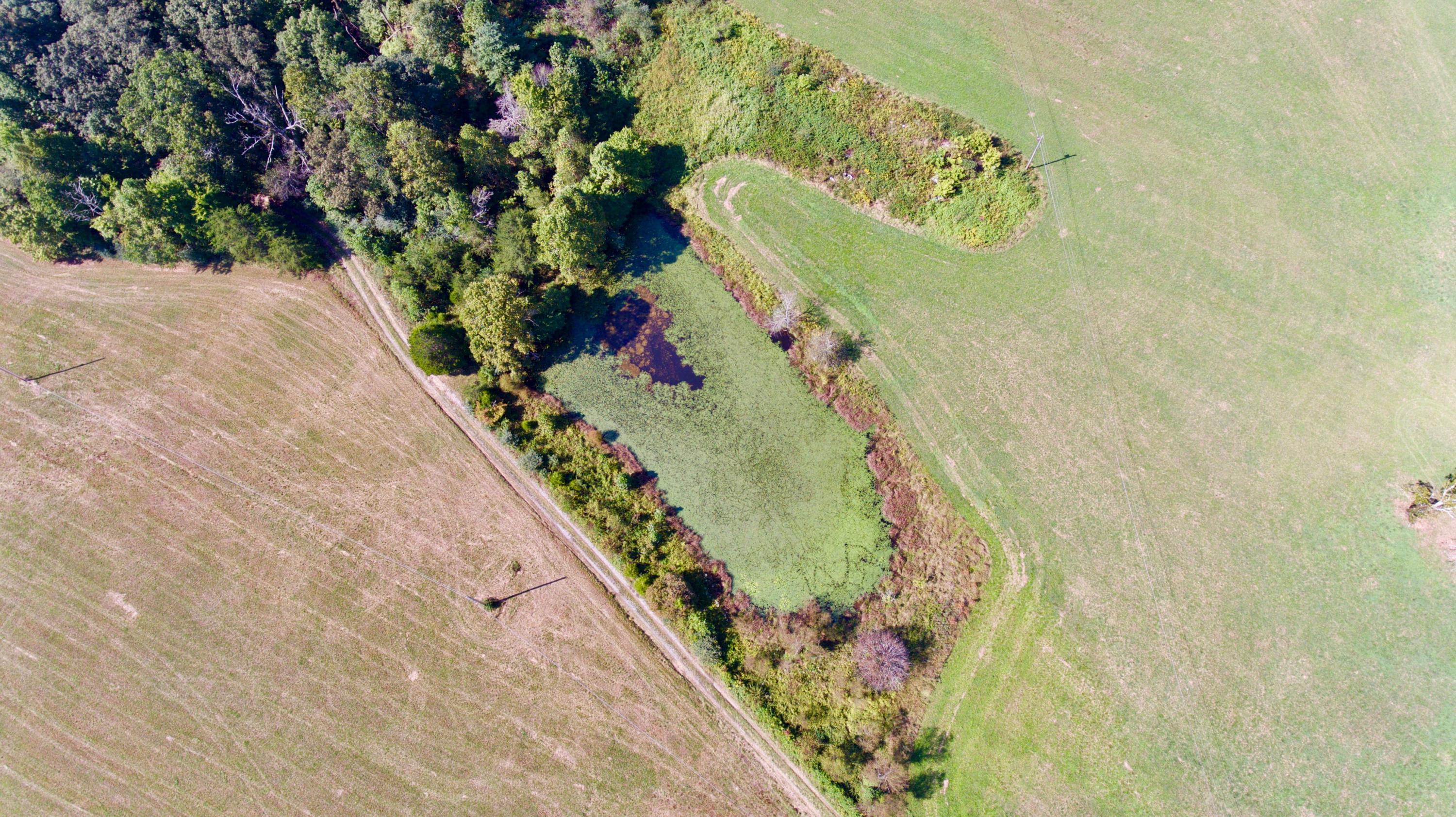 211 Twin Bridge Road Deer Lodge, TN 37726 - Photo 11 of 40 11