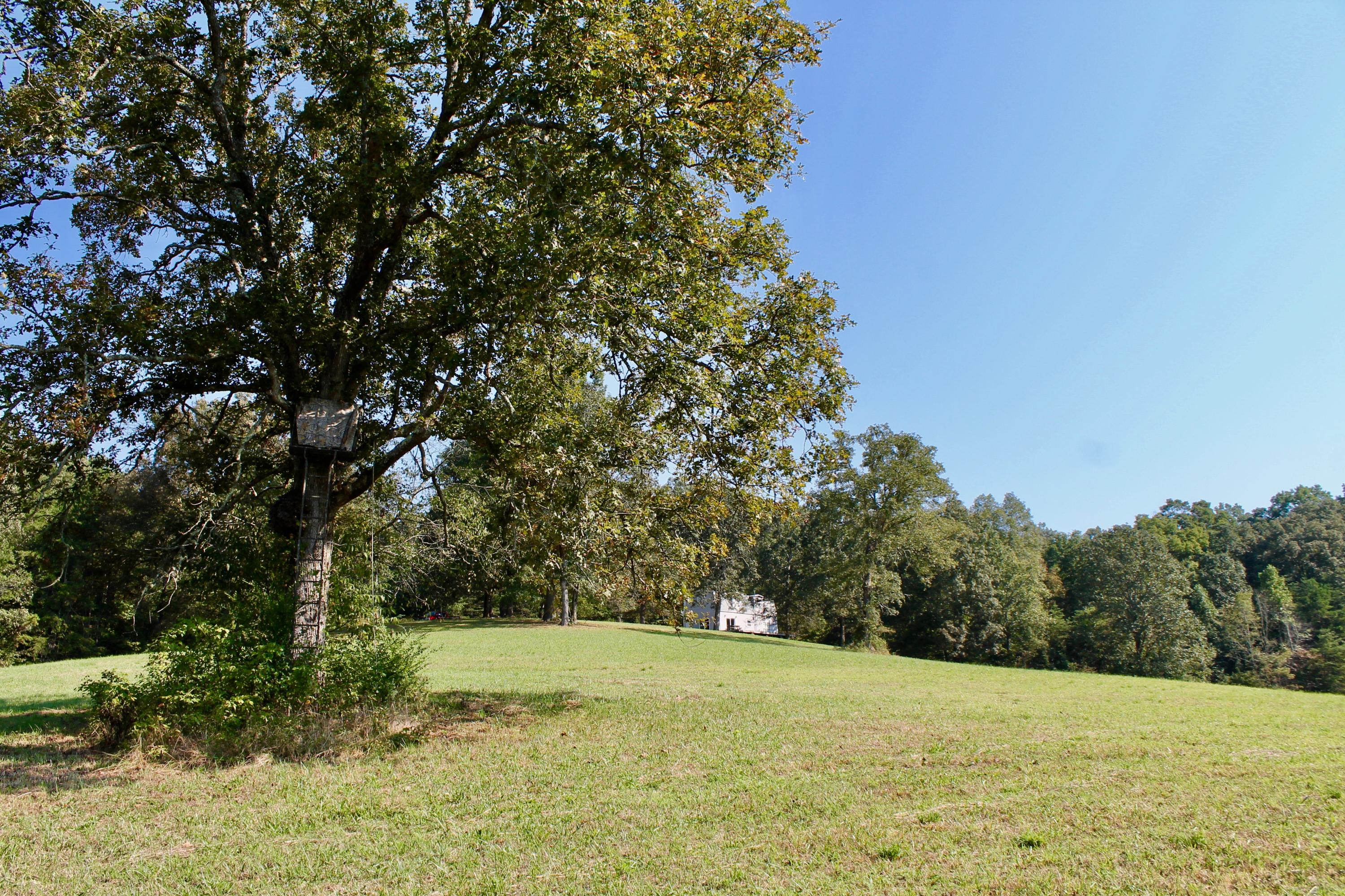 211 Twin Bridge Road Deer Lodge, TN 37726 - Photo 14 of 40 14