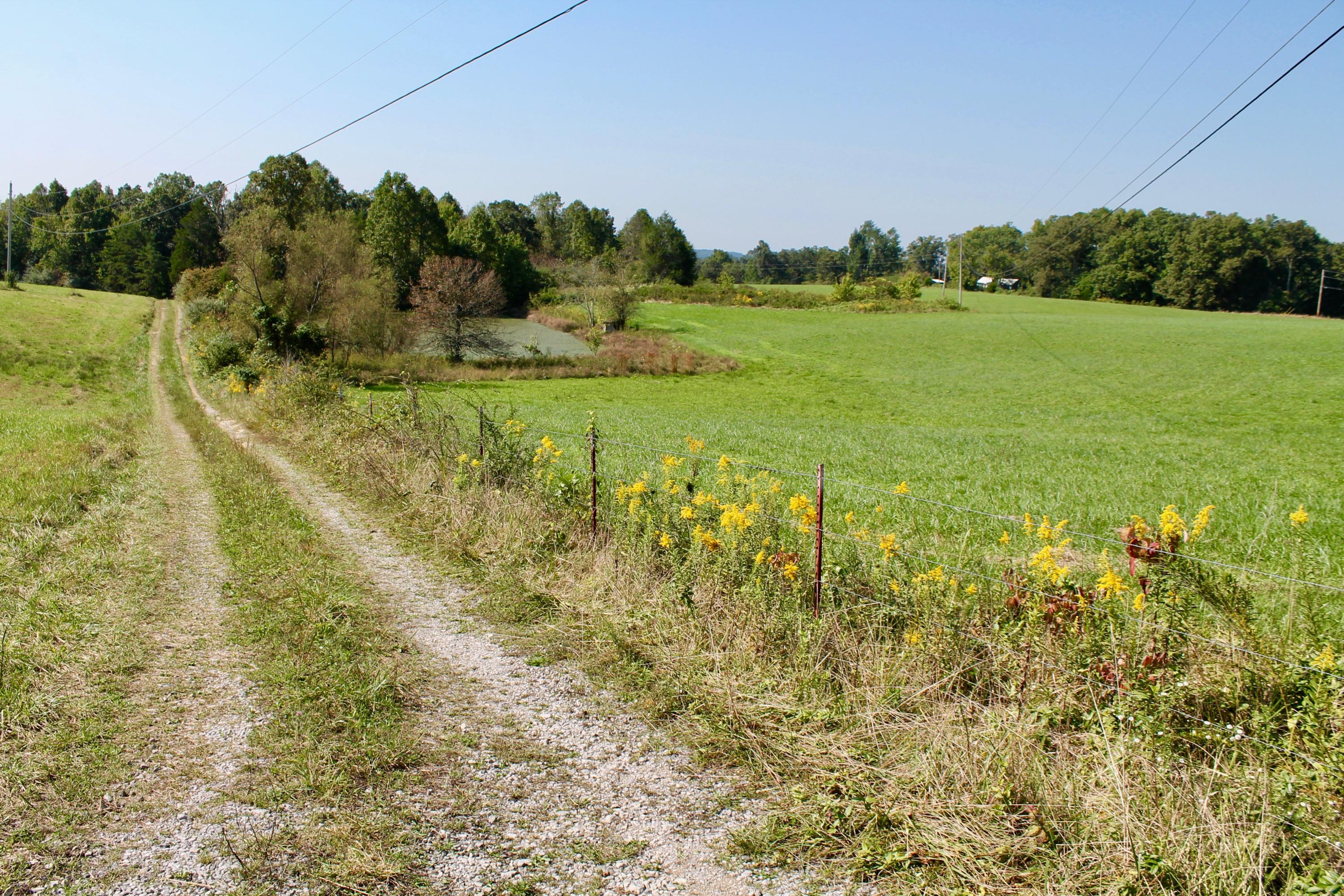 211 Twin Bridge Road Deer Lodge, TN 37726 - Photo 18 of 40 18