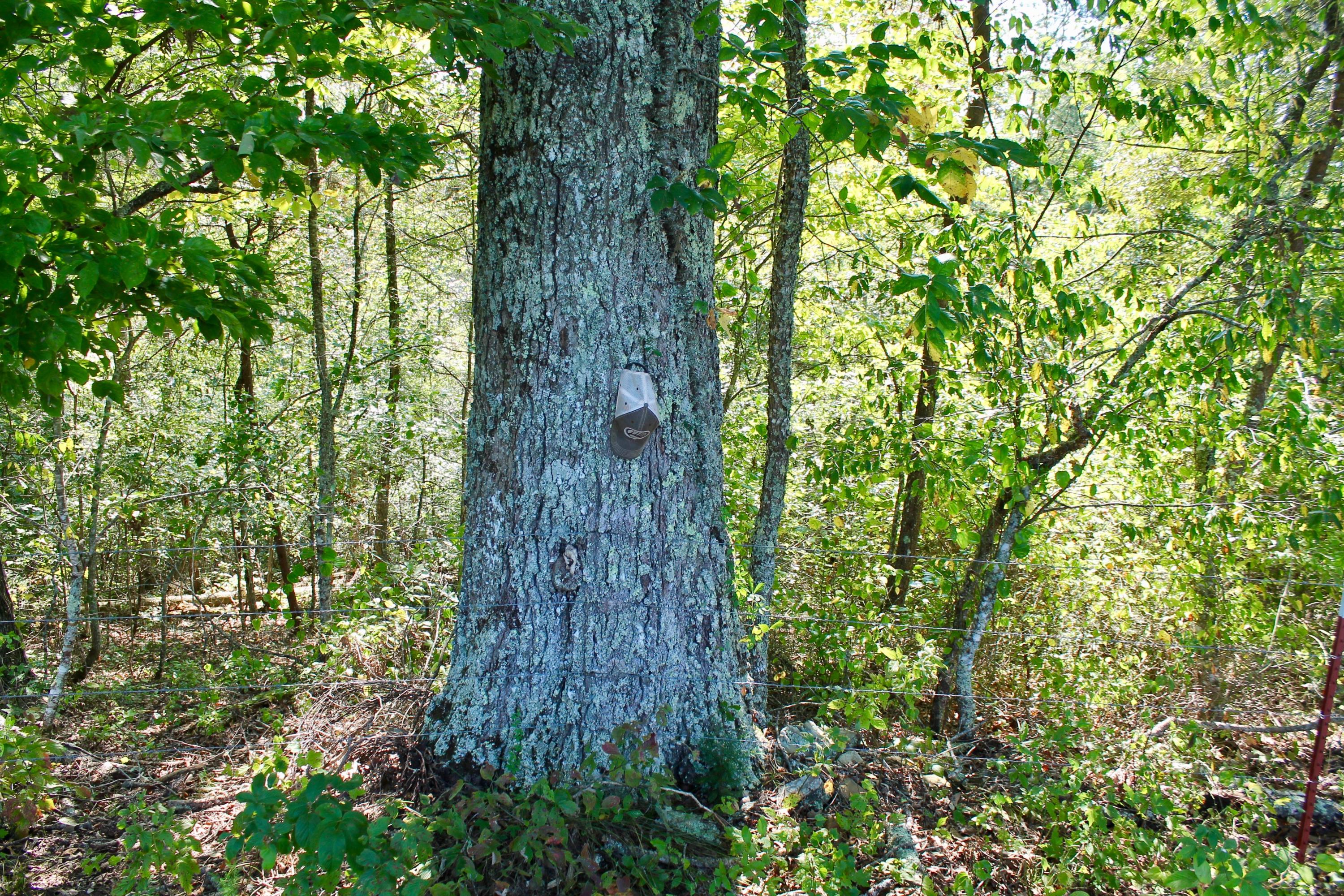 211 Twin Bridge Road Deer Lodge, TN 37726 - Photo 19 of 40 19