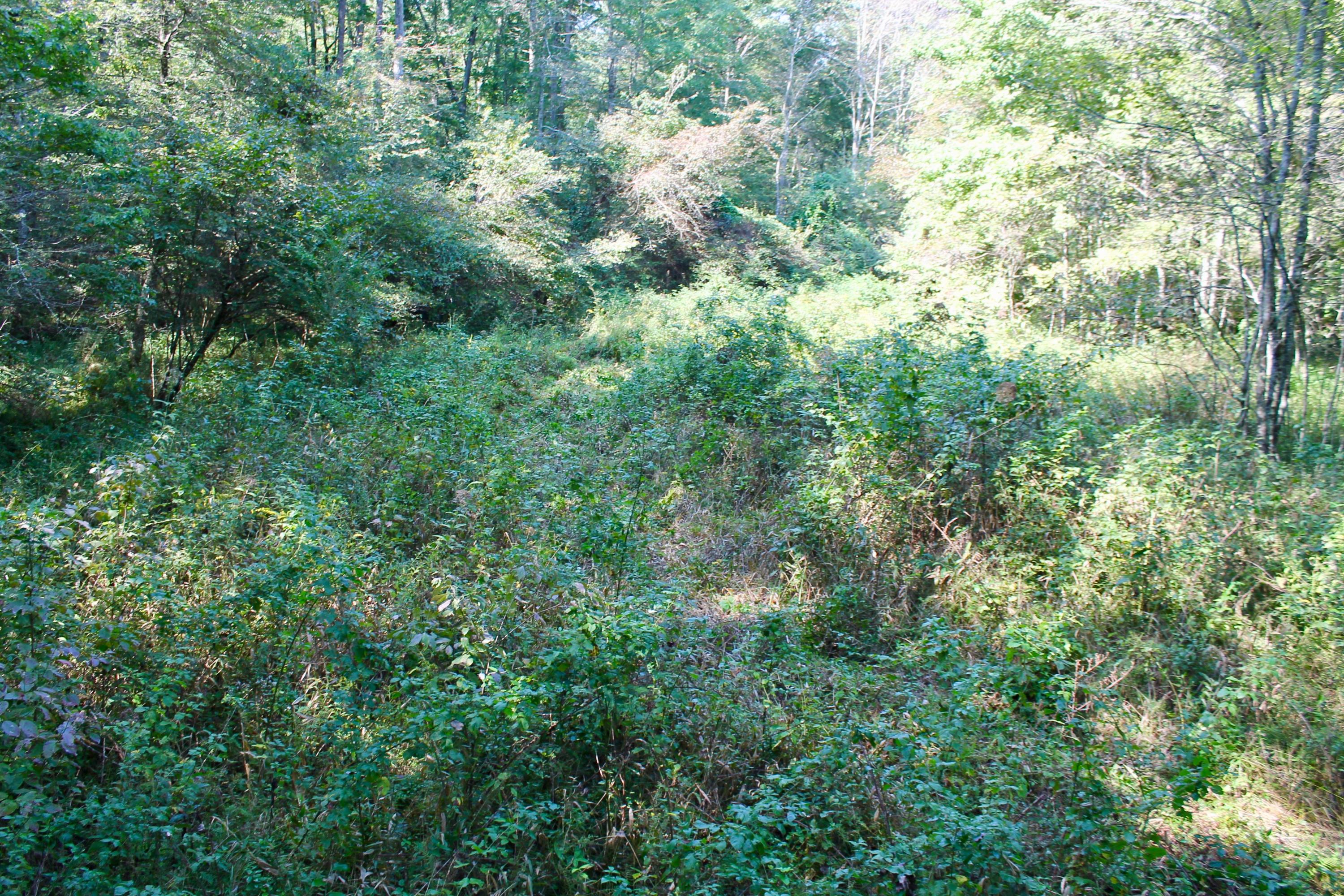 211 Twin Bridge Road Deer Lodge, TN 37726 - Photo 20 of 40 20