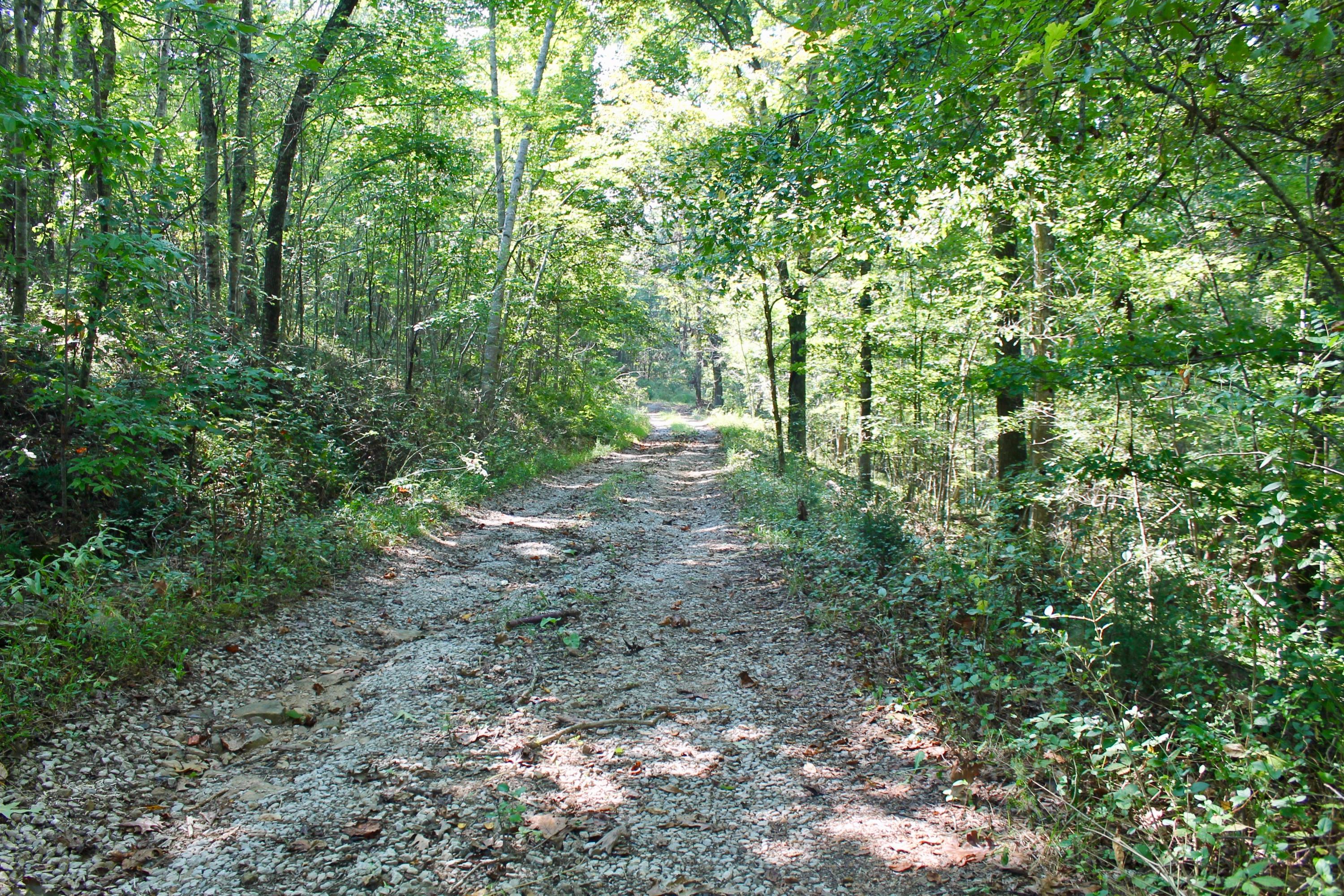 211 Twin Bridge Road Deer Lodge, TN 37726 - Photo 21 of 40 21