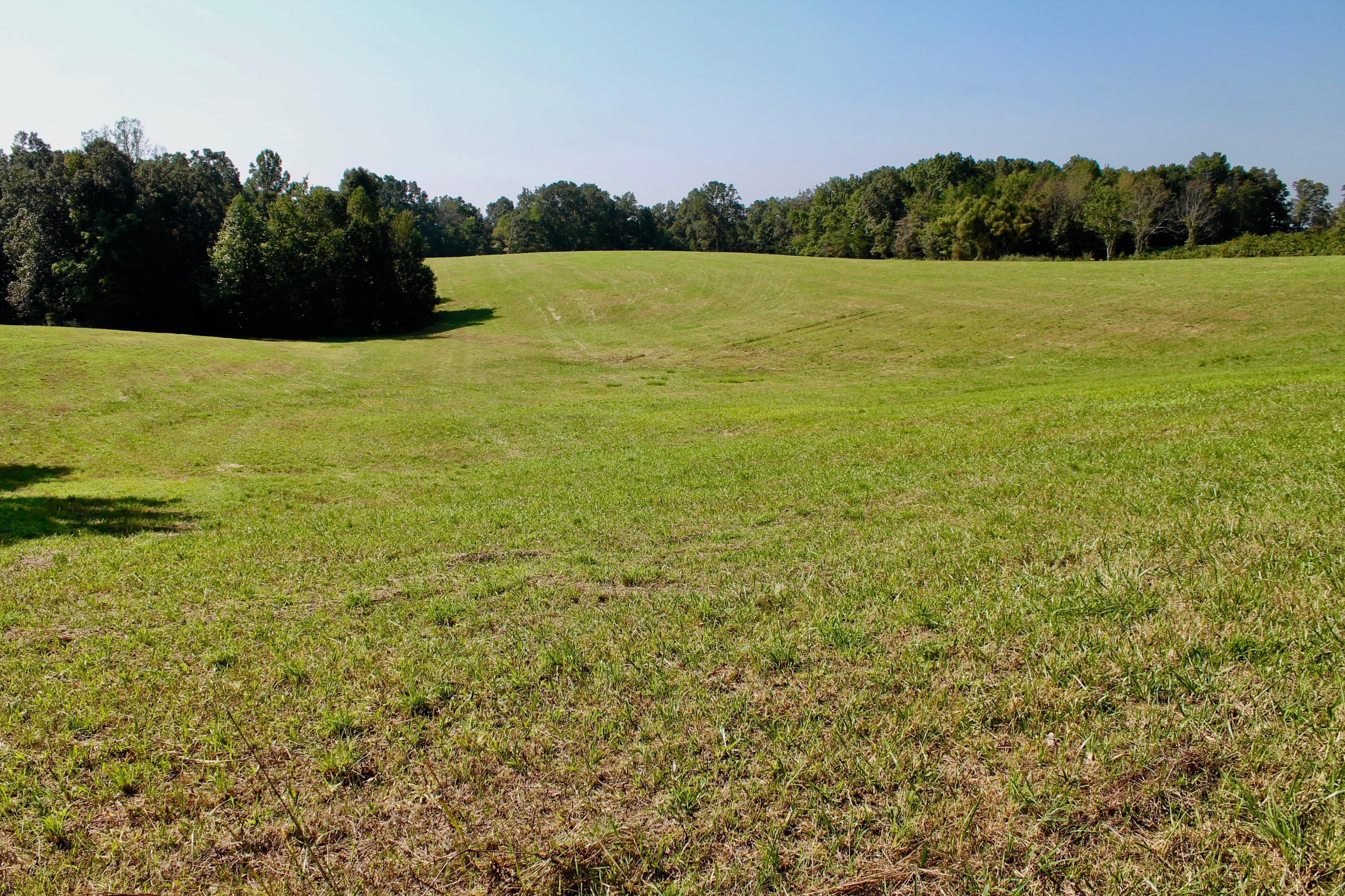 211 Twin Bridge Road Deer Lodge, TN 37726 - Photo 22 of 40 22