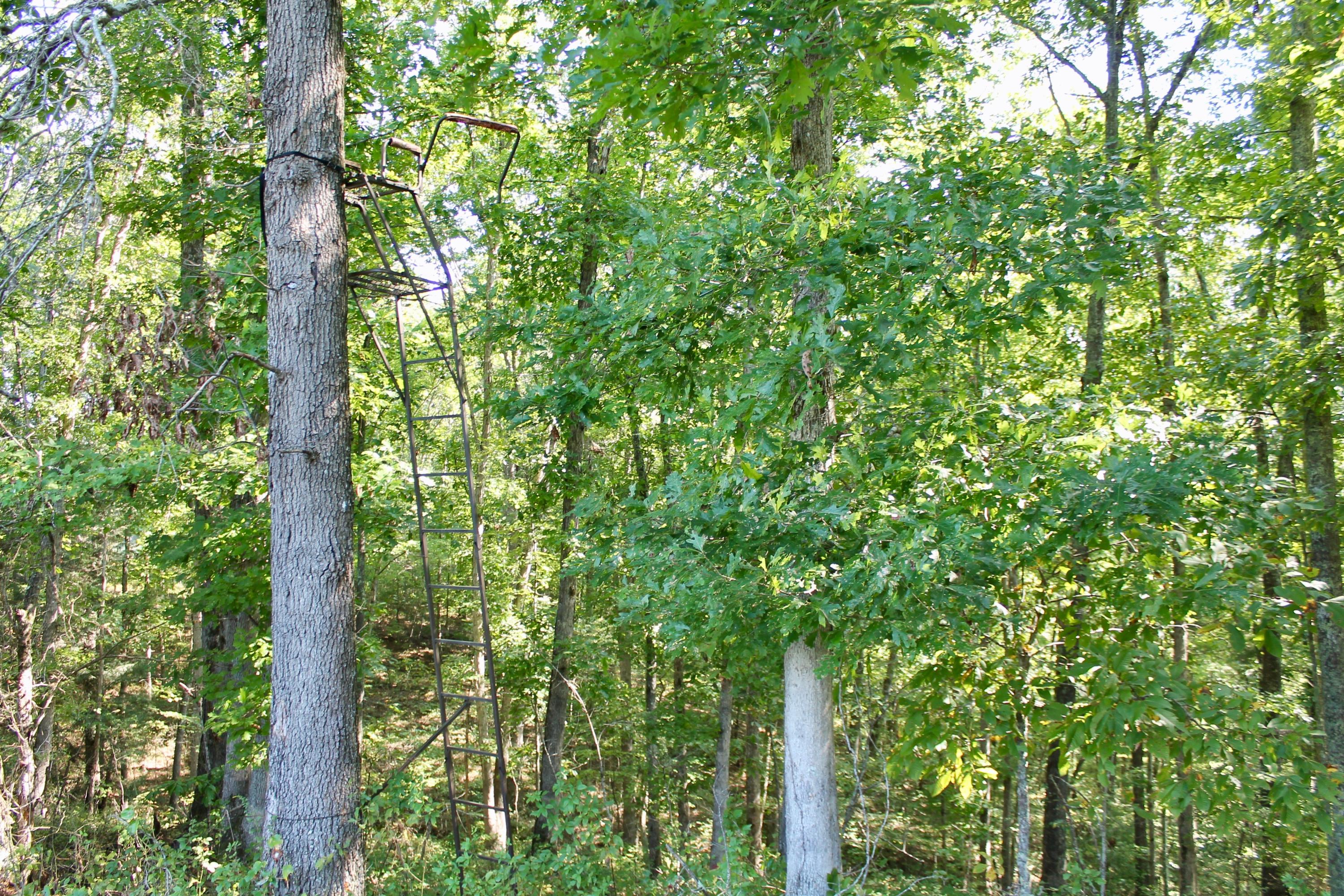 211 Twin Bridge Road Deer Lodge, TN 37726 - Photo 23 of 40 23