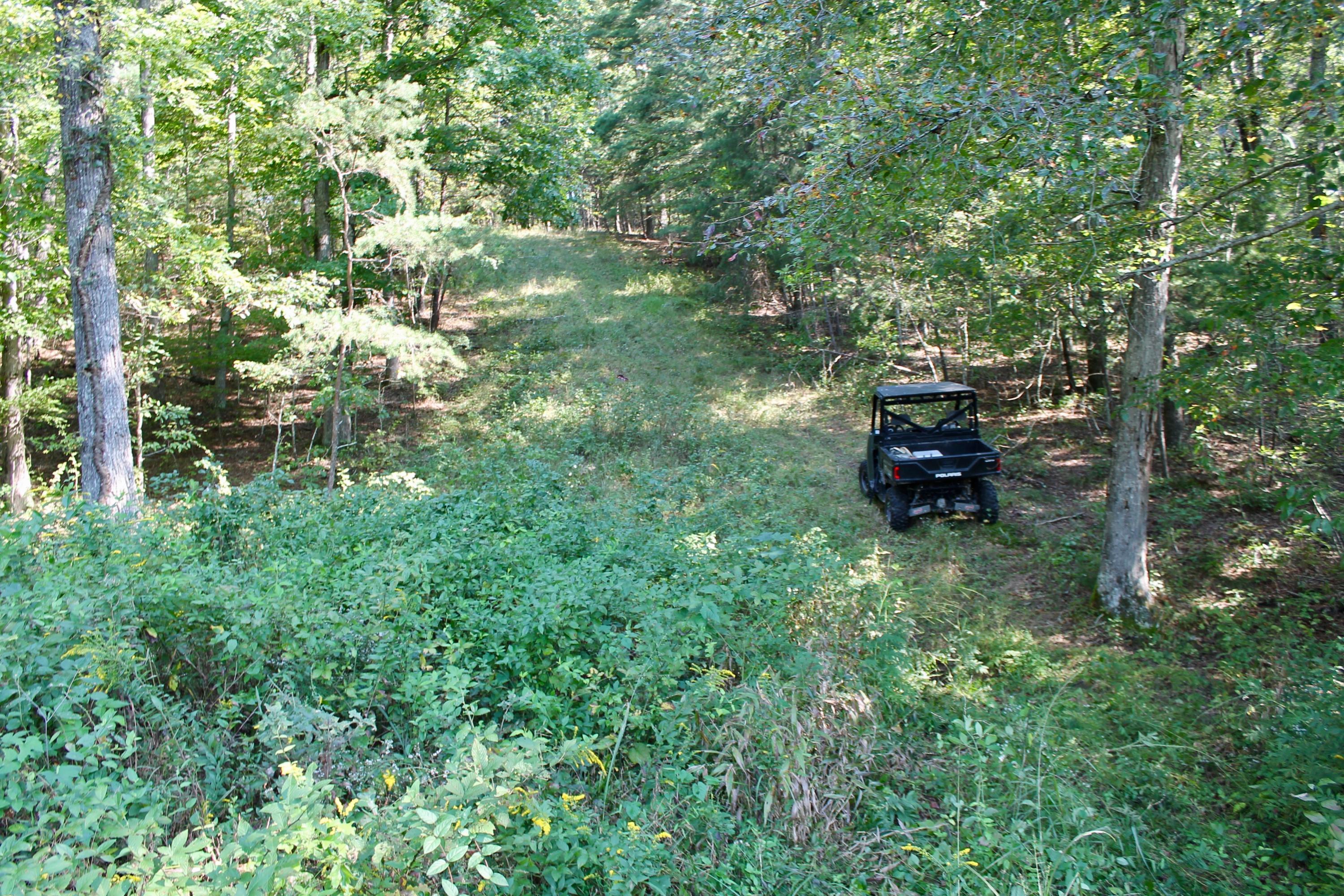 211 Twin Bridge Road Deer Lodge, TN 37726 - Photo 24 of 40 24