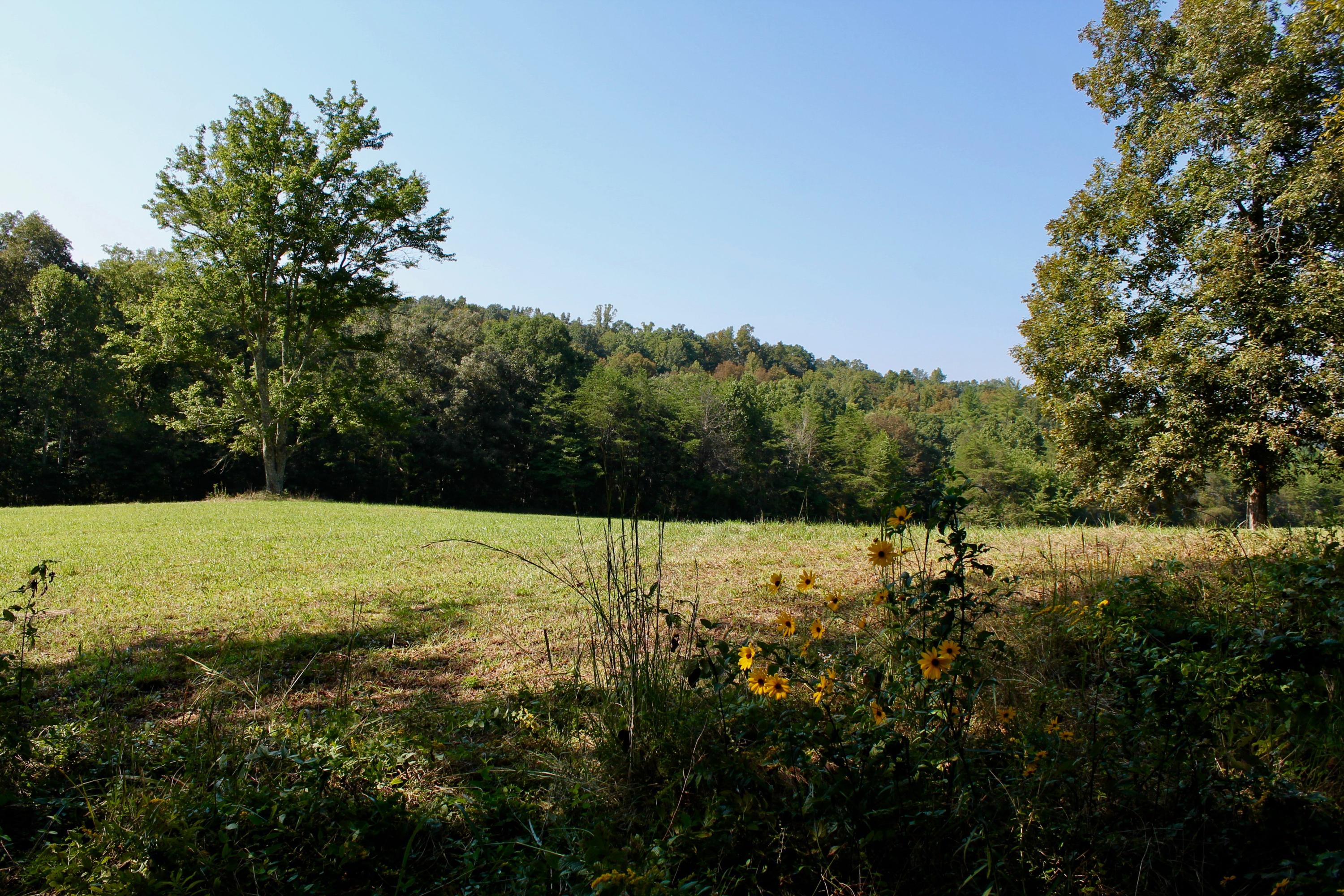 211 Twin Bridge Road Deer Lodge, TN 37726 - Photo 25 of 40 25