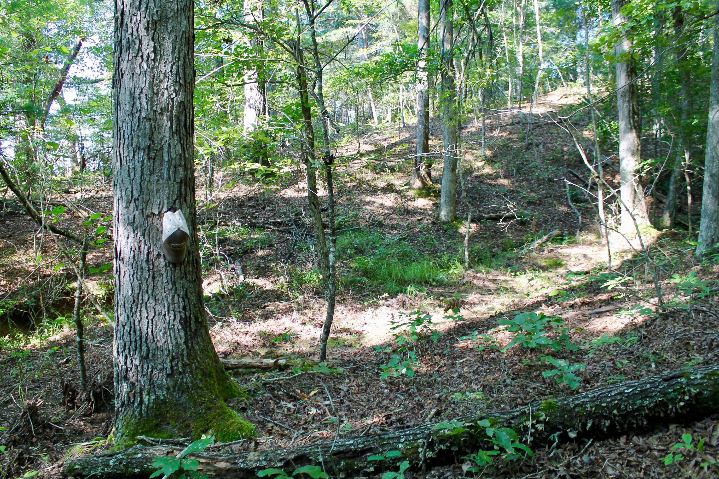 211 Twin Bridge Road Deer Lodge, TN 37726 - Photo 26 of 40 26