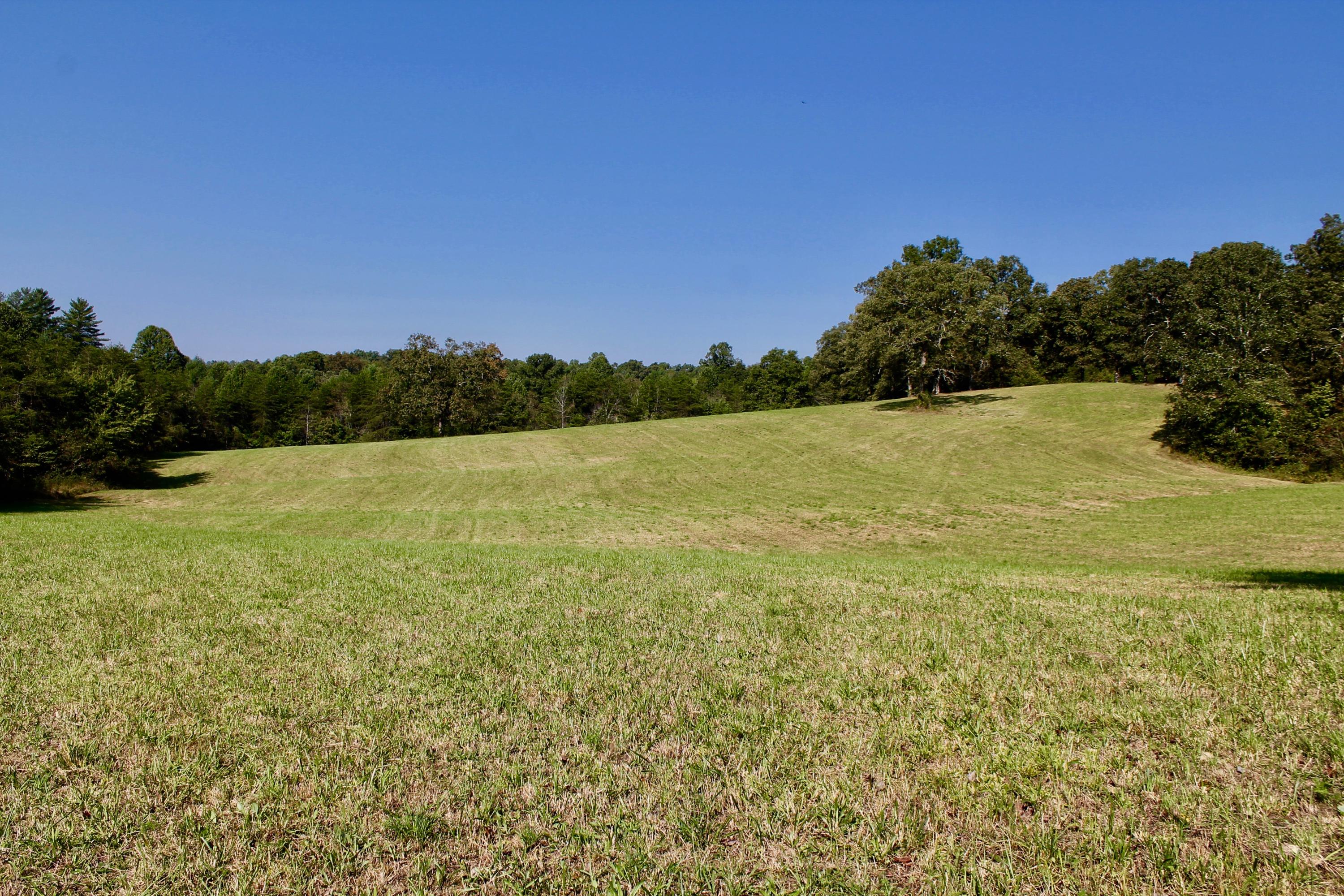 211 Twin Bridge Road Deer Lodge, TN 37726 - Photo 27 of 40 27