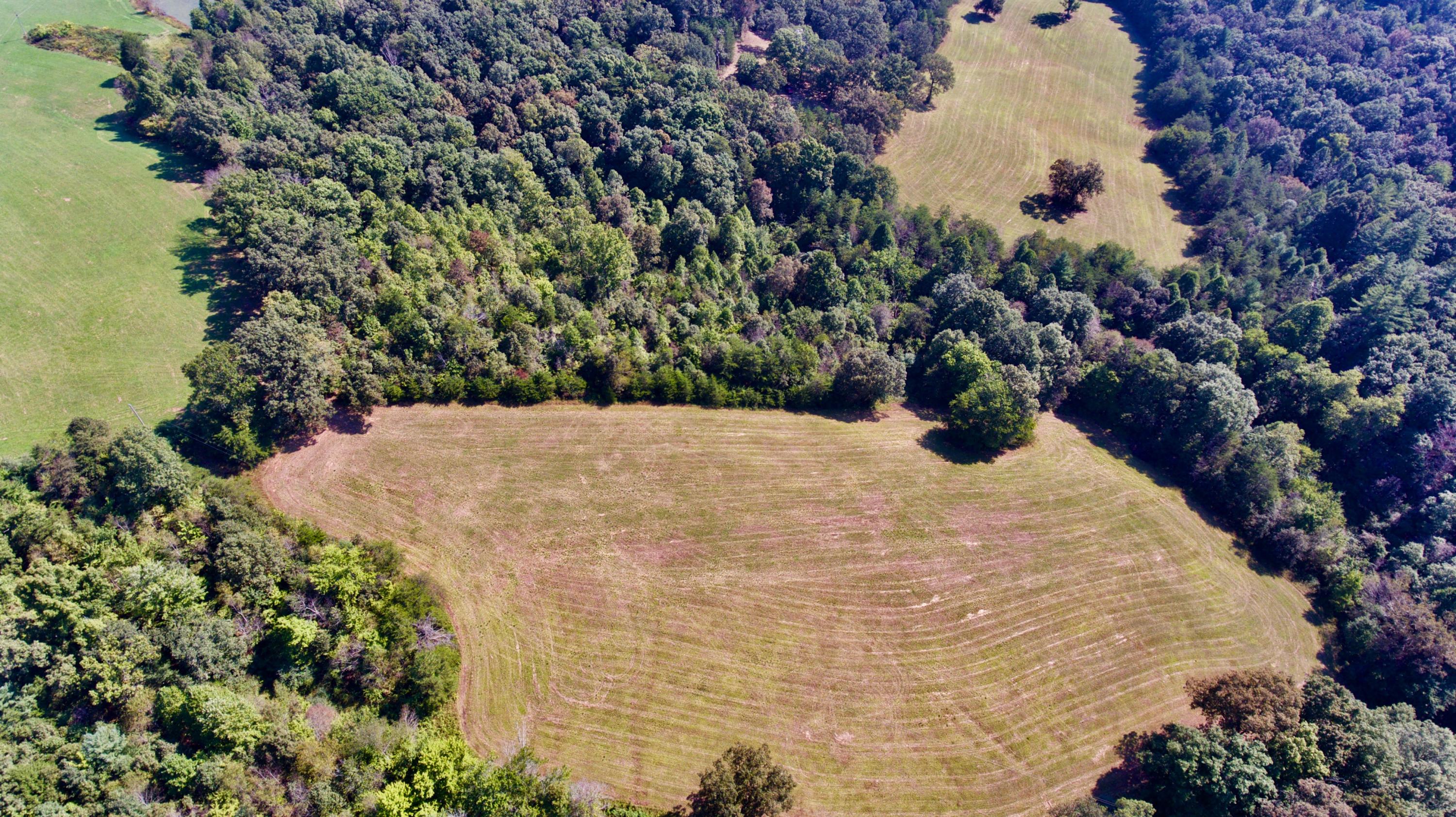 211 Twin Bridge Road Deer Lodge, TN 37726 - Photo 29 of 40 29