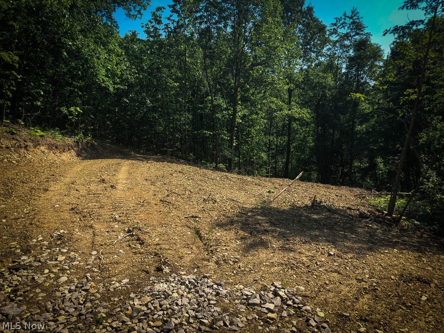 Robins Road Senecaville, OH 43780 - Photo 22 of 25 Gallery Image 22