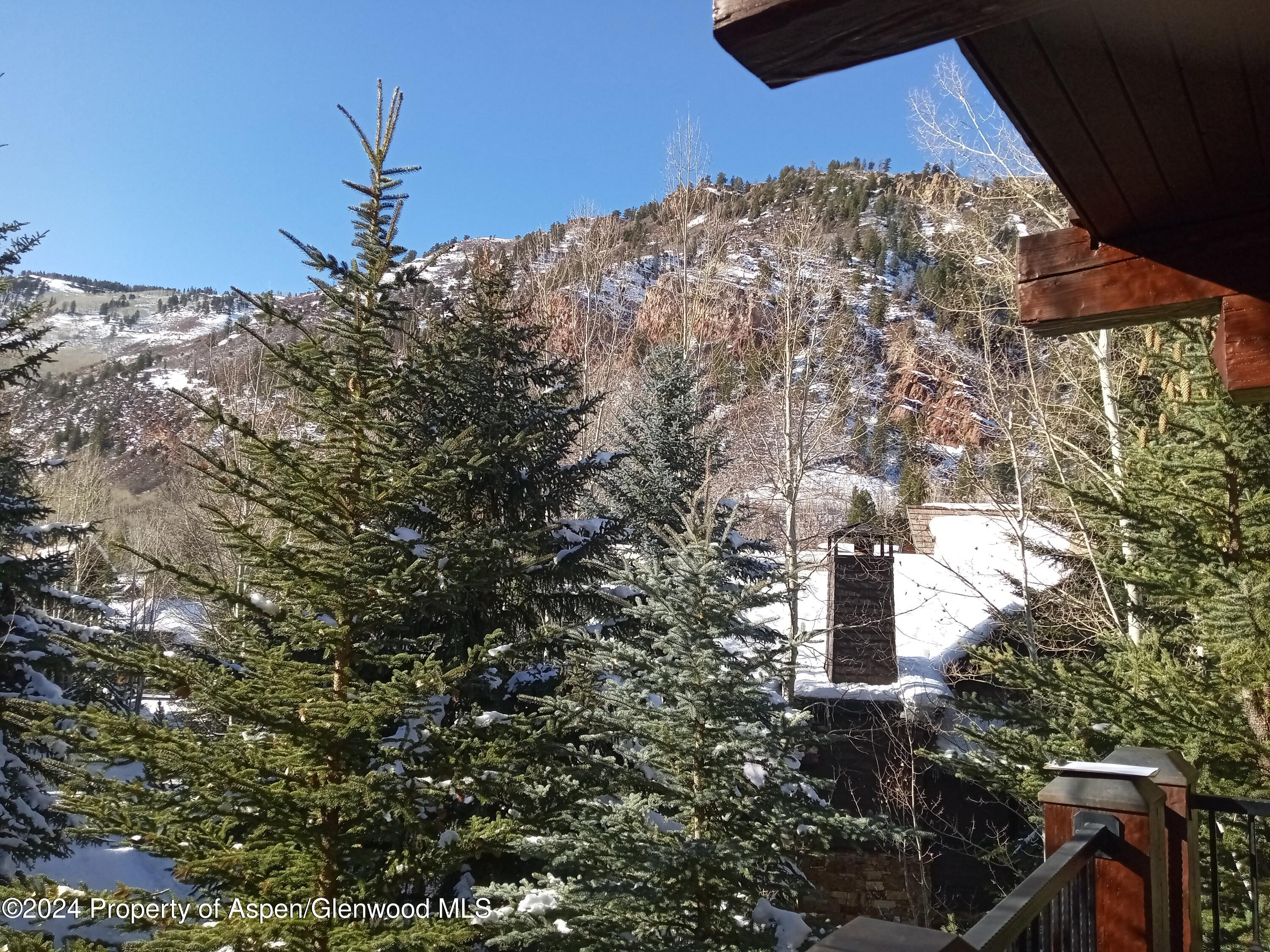 75 Prospector Road, Unit 8306 WINTER INTEREST 1 Aspen, CO 81611 - Photo 20 of 21