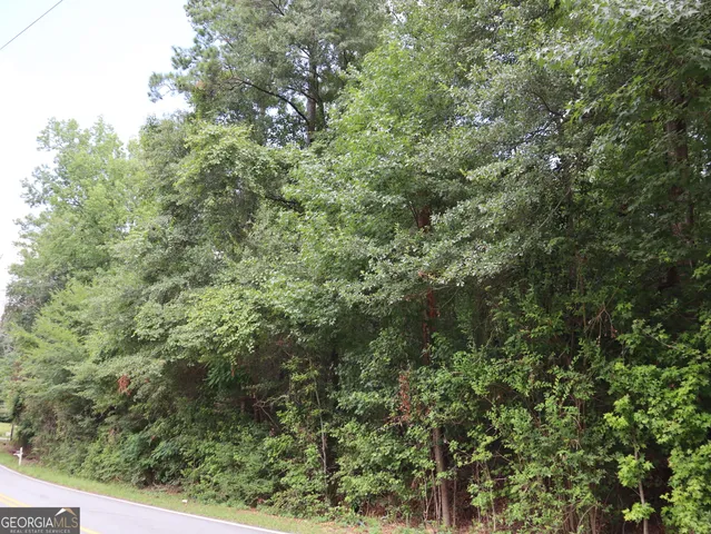 a view of a forest with an outdoor space