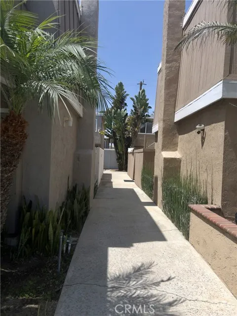 209 13th Street, Unit D Huntington Beach, CA 92648 - Photo 26 of 34 a view of a backyard with plants