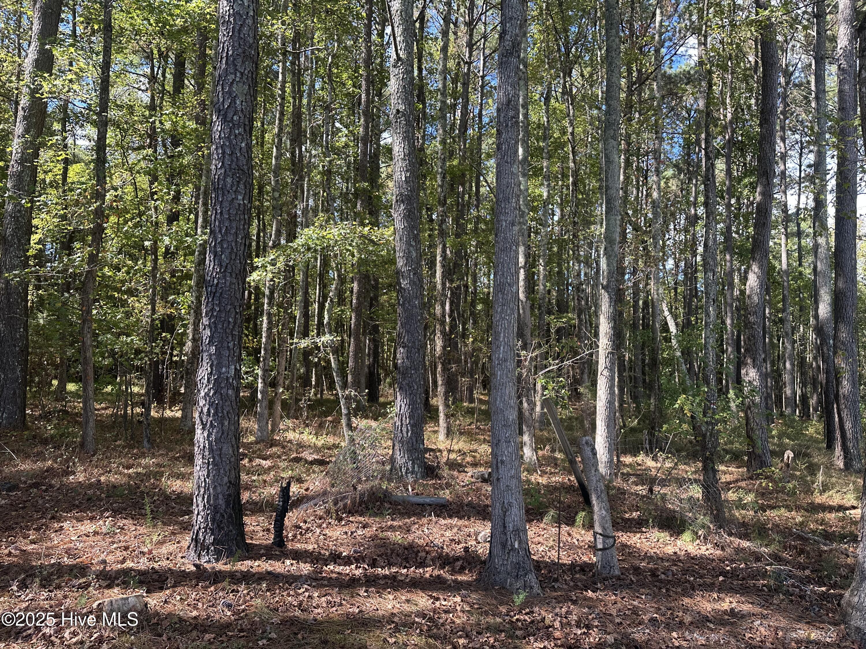 2660 Pleasant Grove Road Jackson, NC 27845 - Photo 10 of 23 IMG_3596