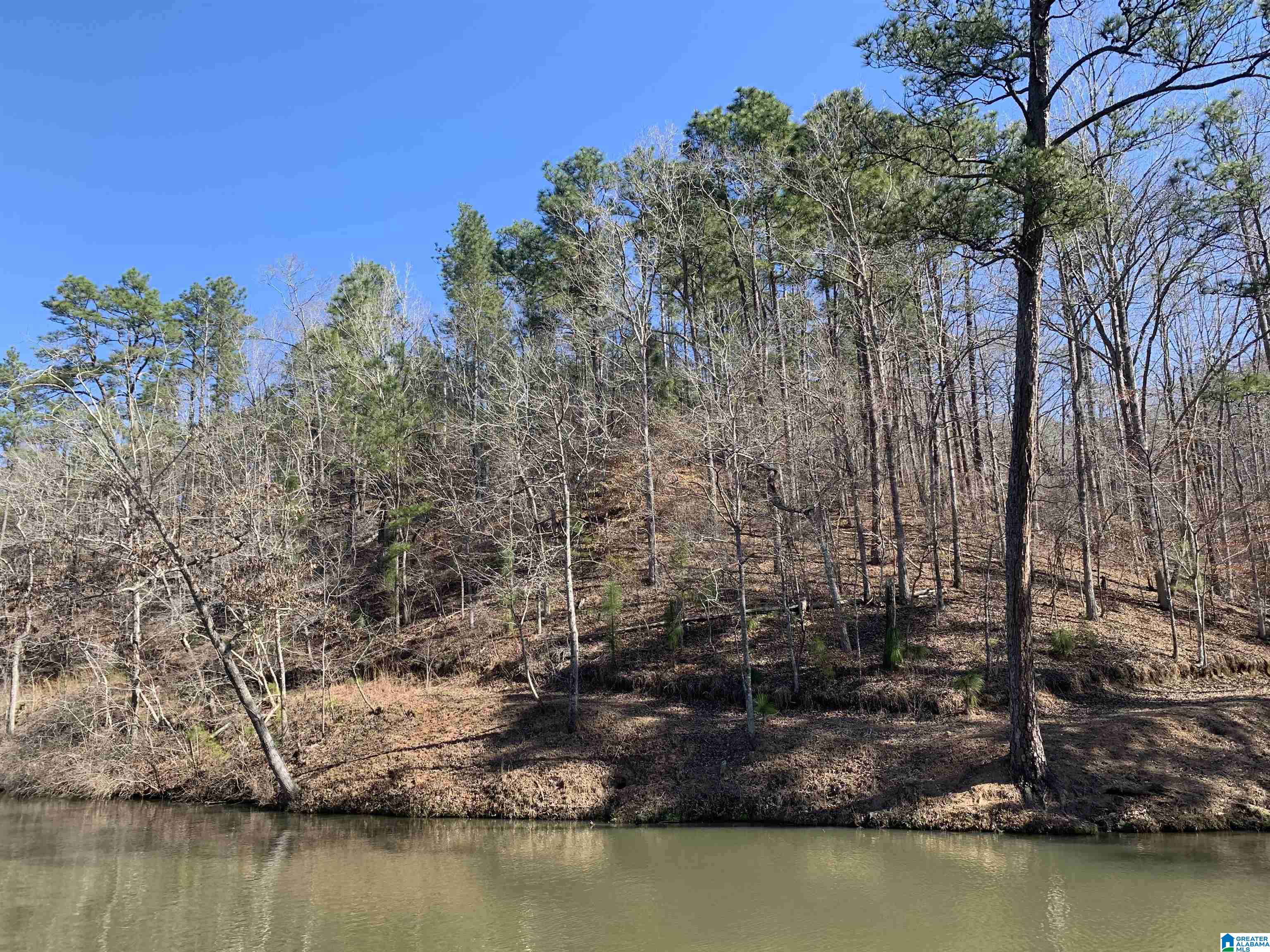 14 Highland Road, Unit LOT 14 AND 15 Goodwater, AL 35072 - Photo 4 of 7