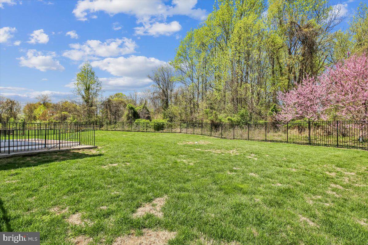 427 Cloverly Forest Drive Silver Spring, MD 20905 - Photo 34 of 36