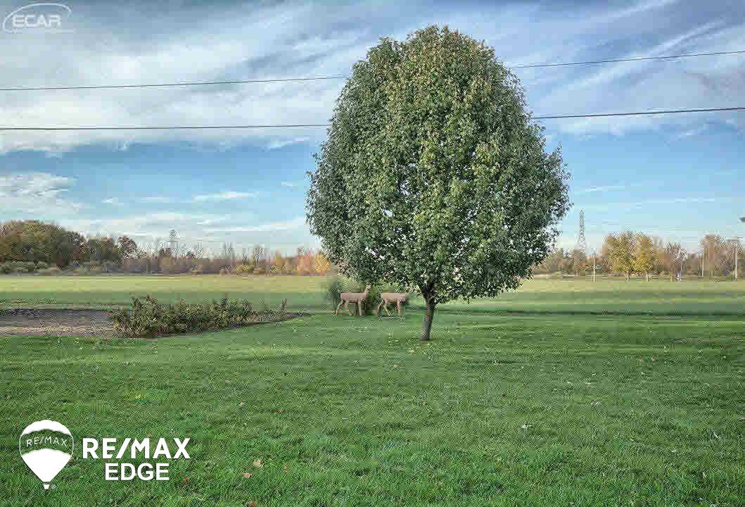 7020 Calkins Road Flint, MI 48532 - Photo 30 of 33 21232533-29.JPG
