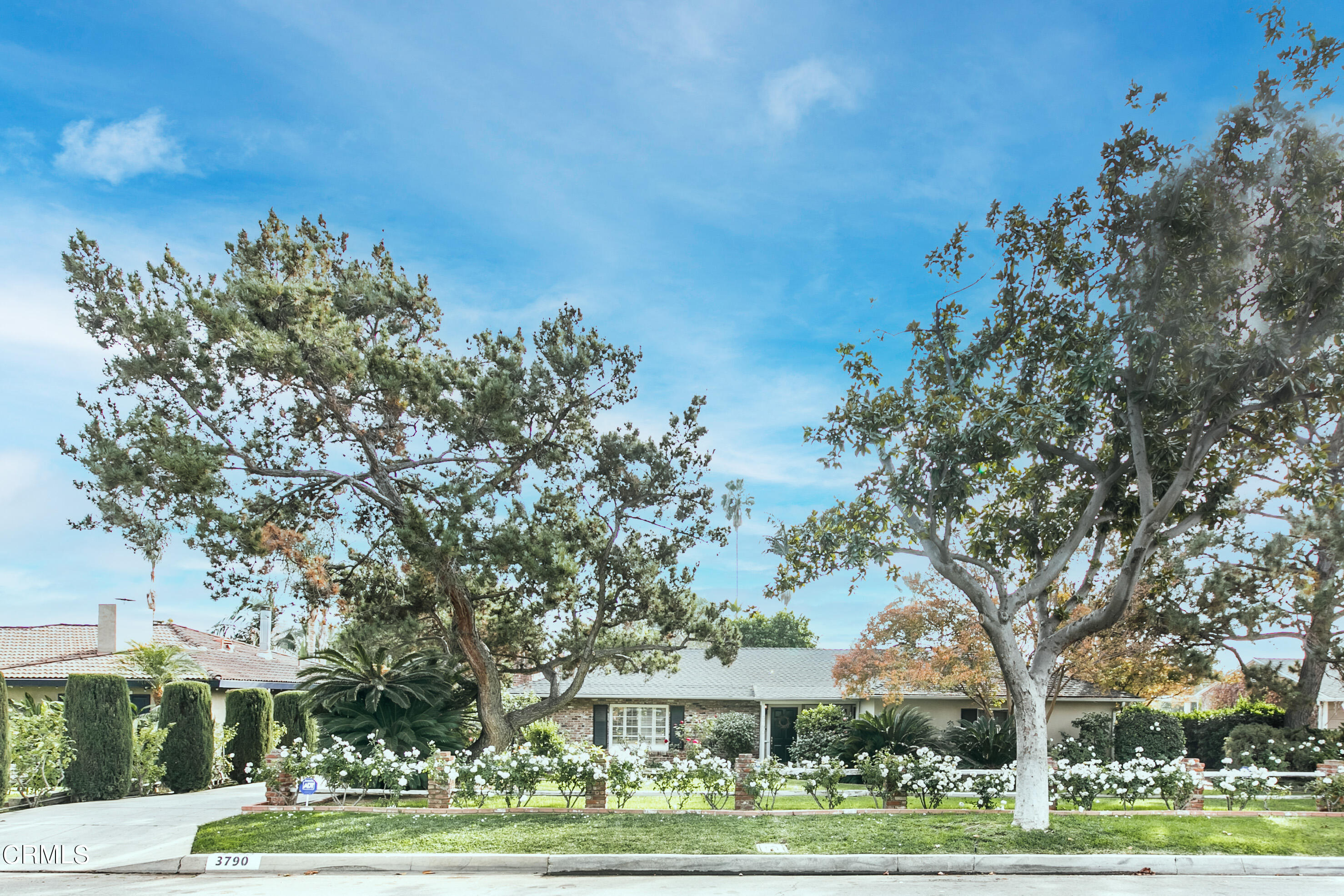 3790 Fairmeade Road Pasadena, CA 91107 - Photo 1 of 1 3790 Fairmeade1 Blue