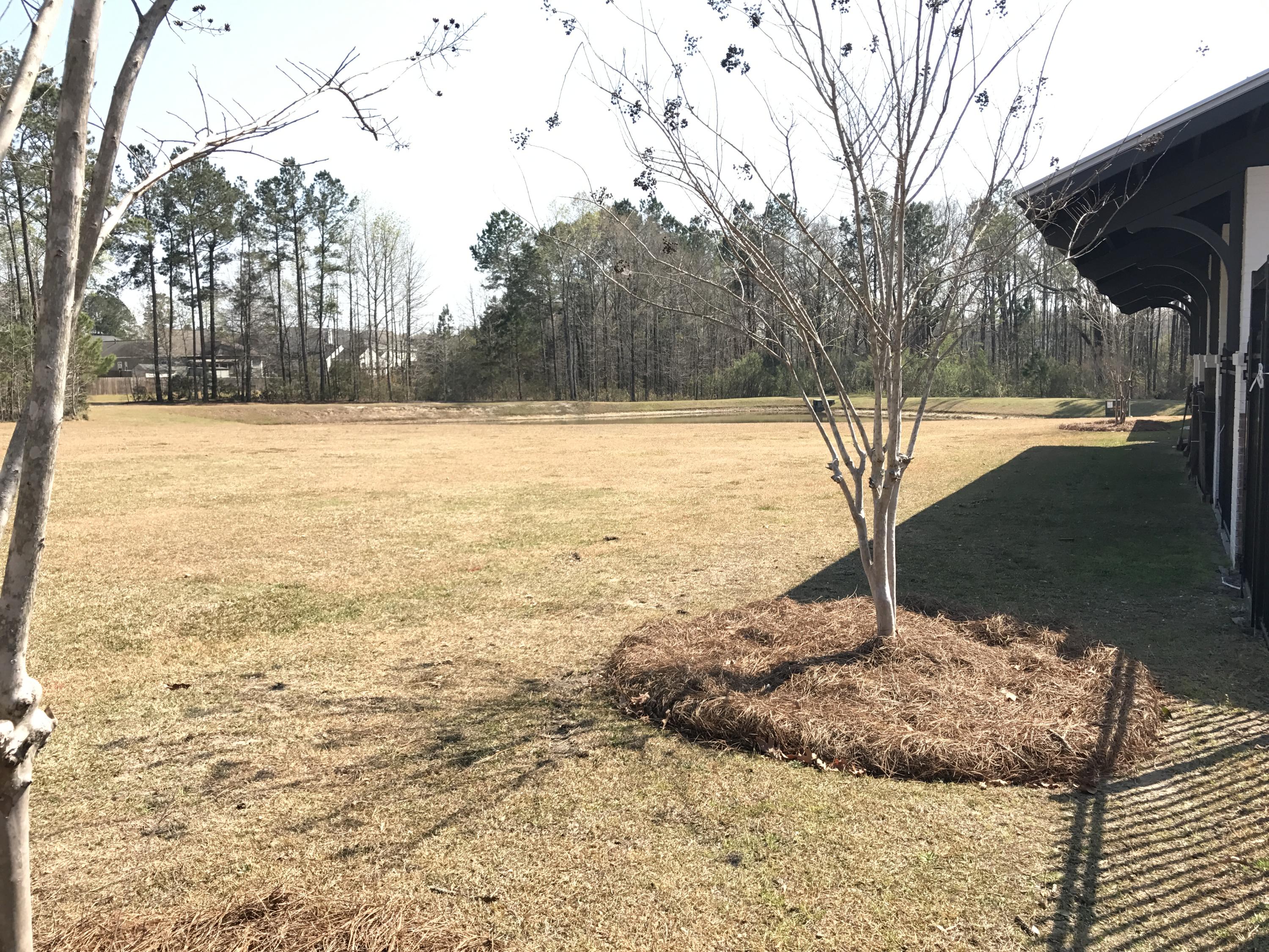 146 Nolin Road Moncks Corner, SC 29461 - Photo 50 of 71 IMG_3832