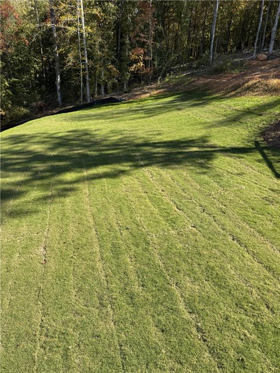 105 Eryn Terrace Covington, GA 30014 - Photo 3 of 38