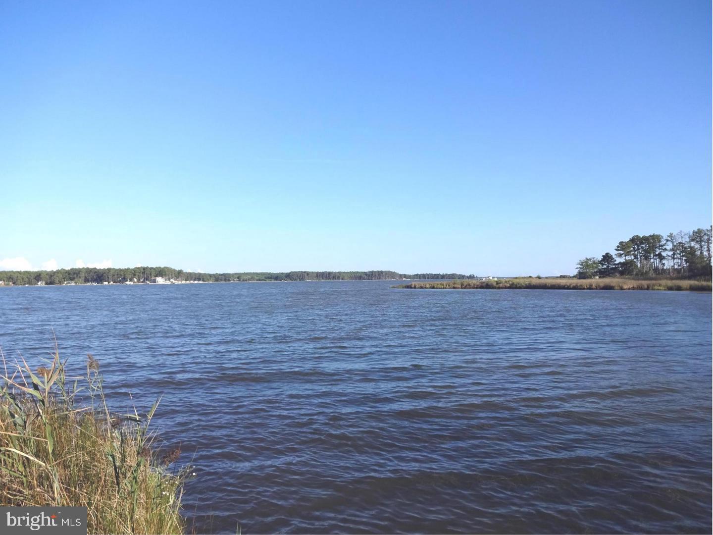 View of Boones Creek