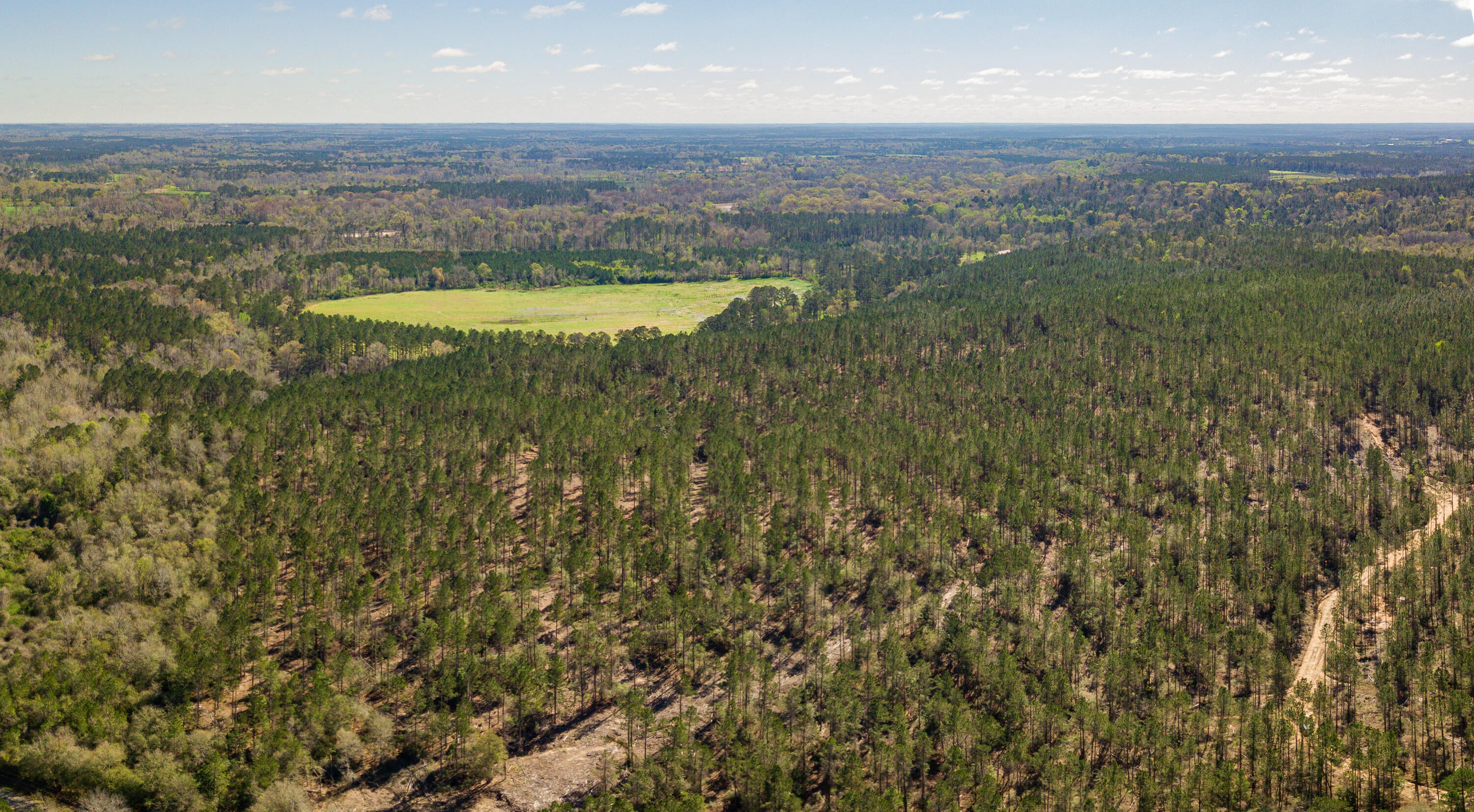 Lot 6 Timothy Road Ellisville, MS 39437 - Photo 6 of 26 Gallery Image 6