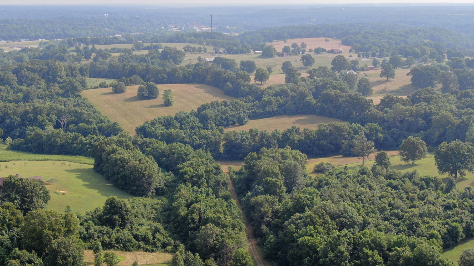 0 Allie Road Cassville, MO 65625 - Photo 1 of 1 looking up allie road