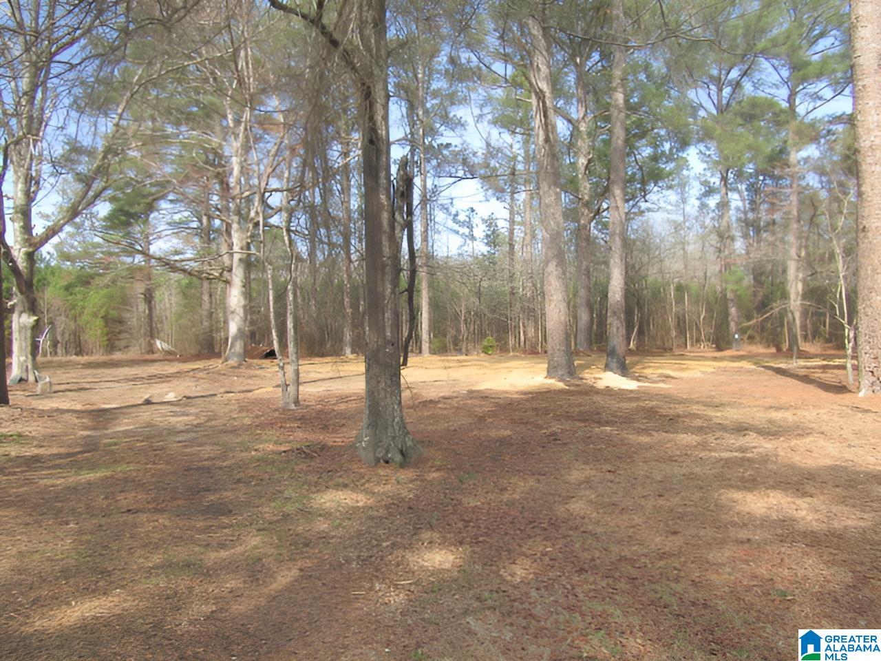 4429 Roy Webb Road Jacksonville, AL 36265 - Photo 10 of 26