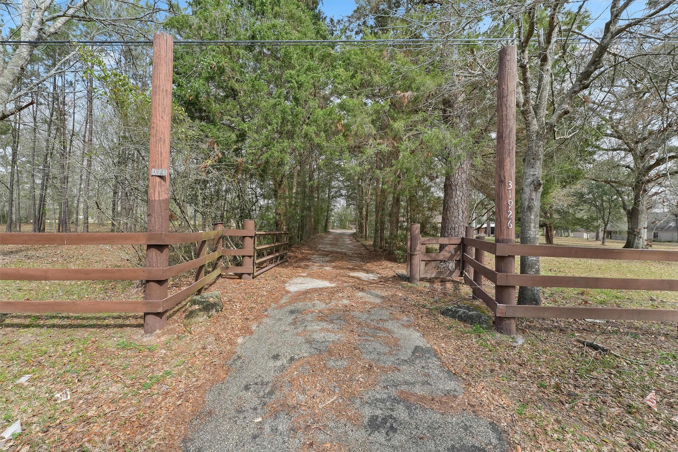 a view of a yard with tiny trees