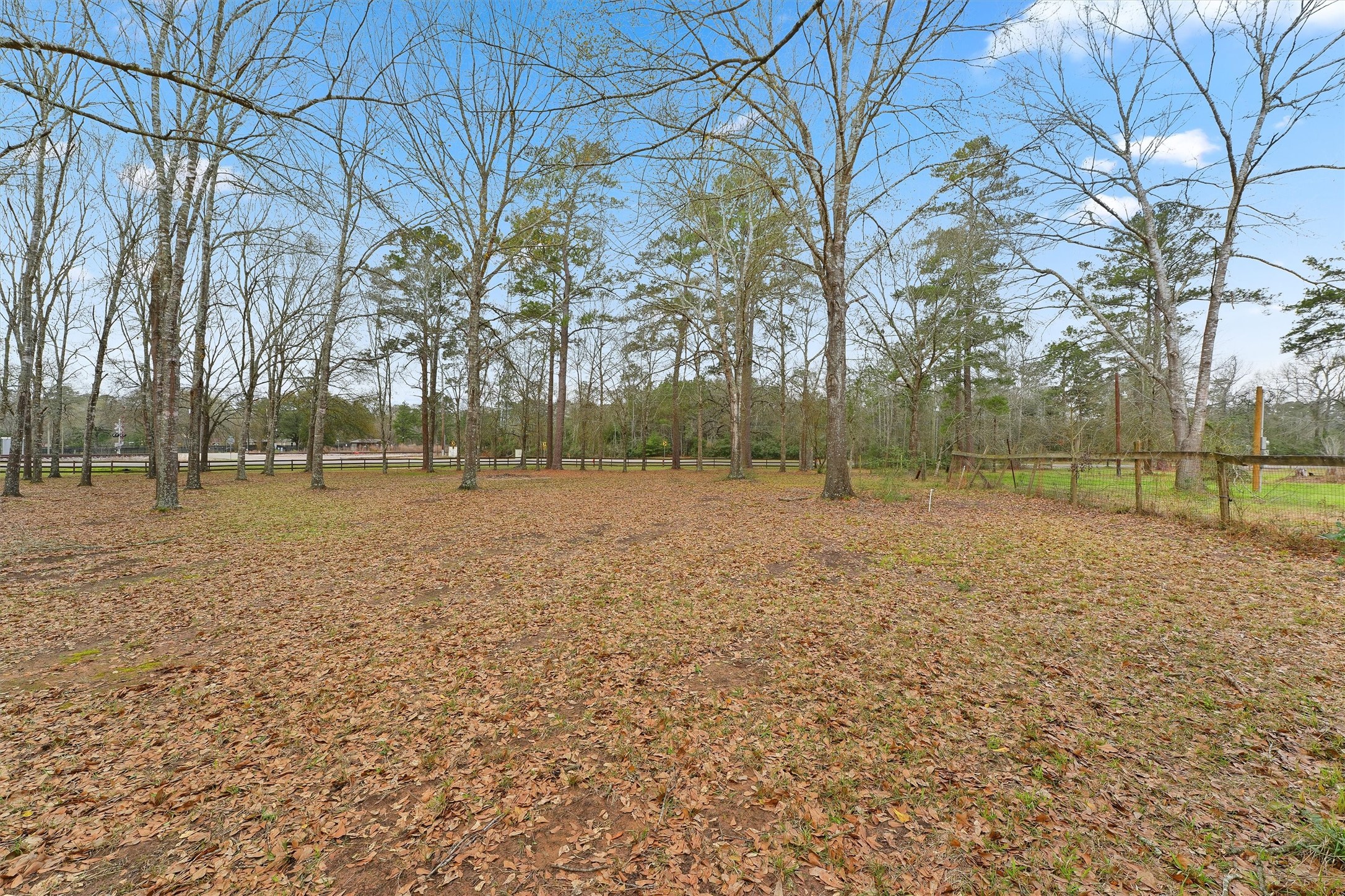 31926 Dobbin-Huffsmith Road Magnolia, TX 77354 - Photo 22 of 47 a view of outdoor space with trees