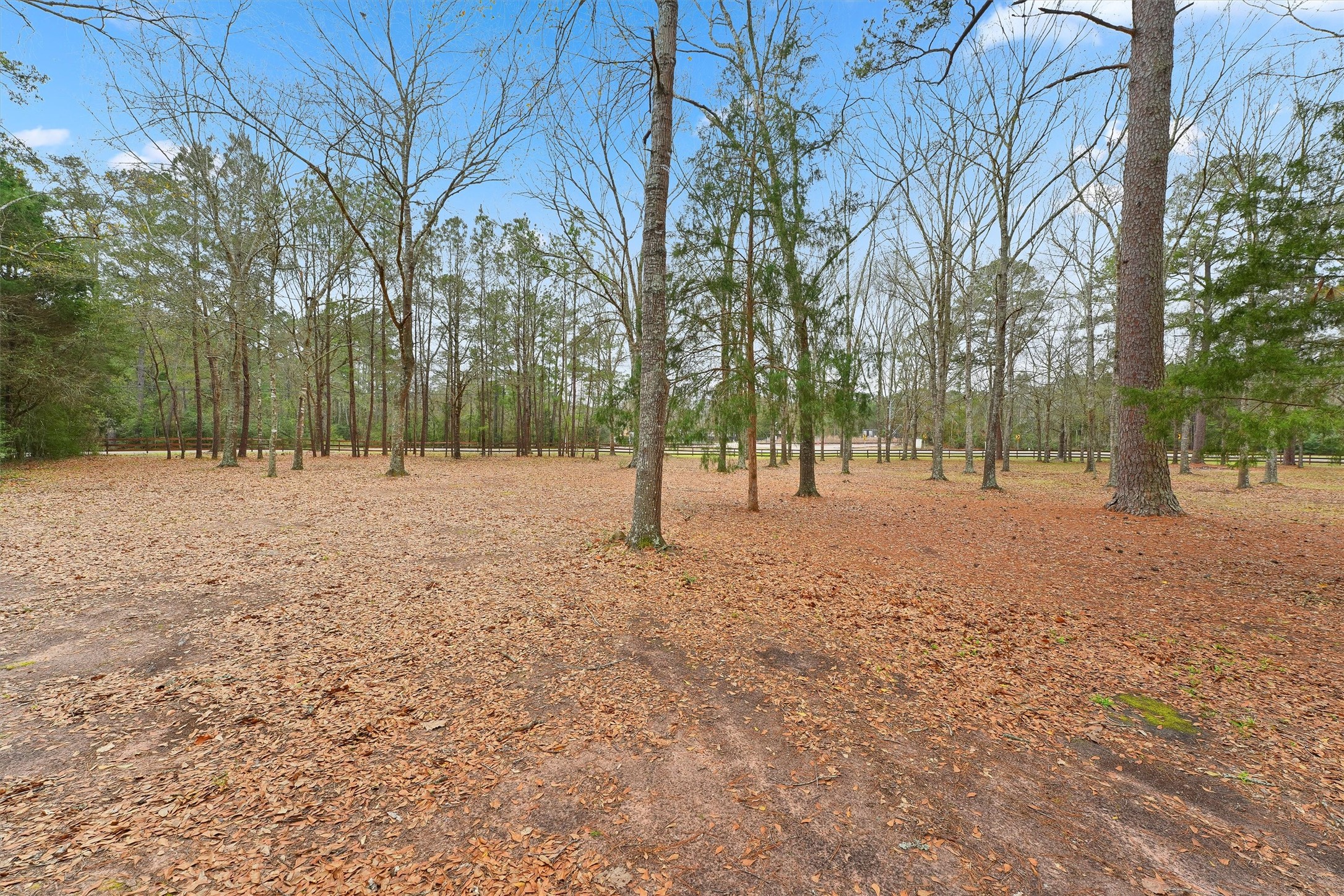 31926 Dobbin-Huffsmith Road Magnolia, TX 77354 - Photo 23 of 47 a view of road with trees